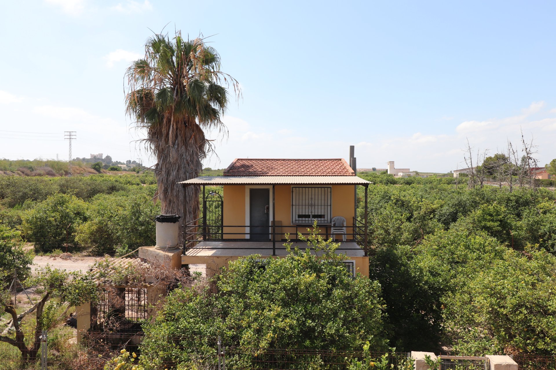 Rynek wtórny - Finca -
Algorfa - Algorfa - Country