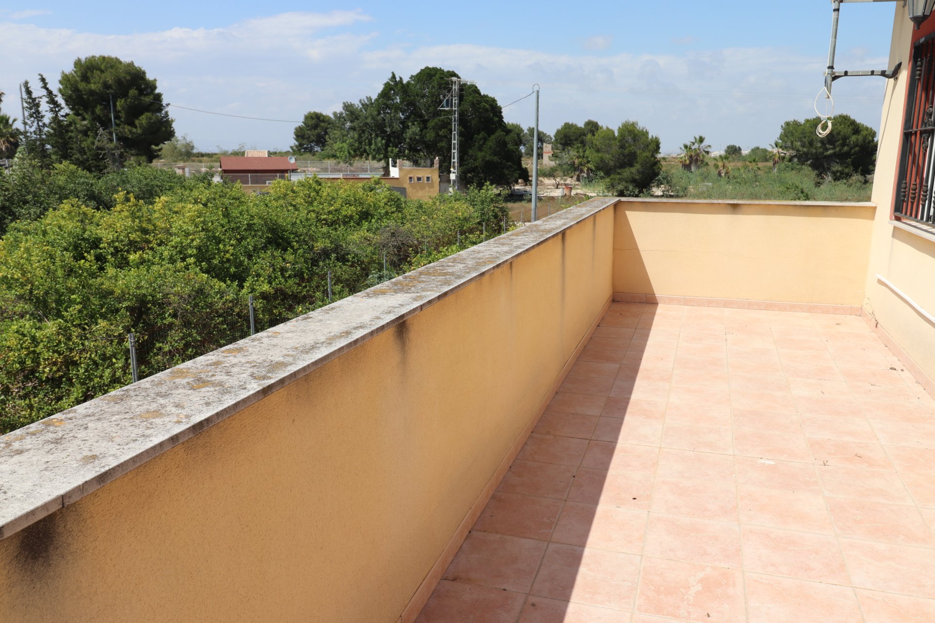 Rynek wtórny - Finca -
Algorfa - Algorfa - Country