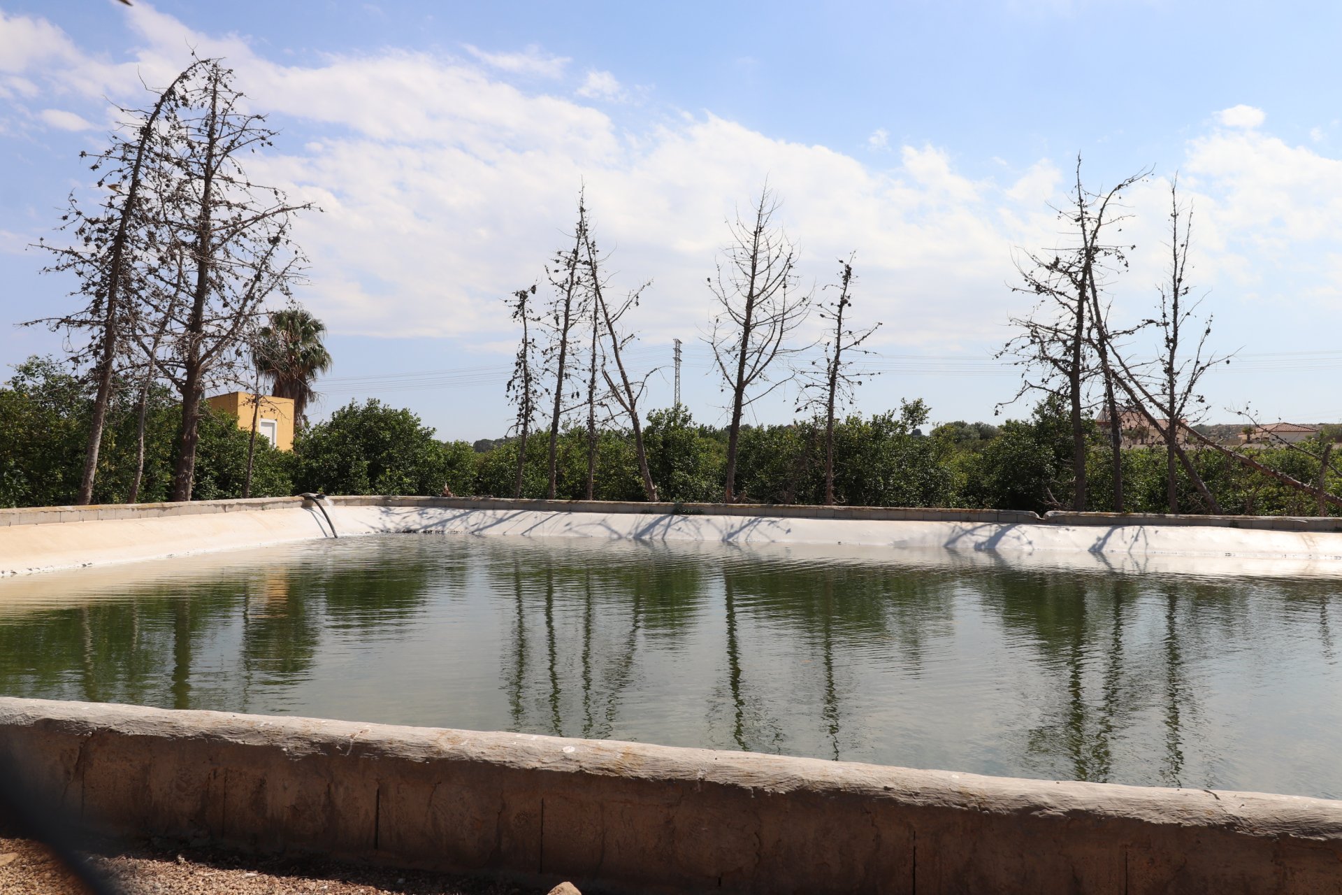 Rynek wtórny - Finca -
Algorfa - Algorfa - Country