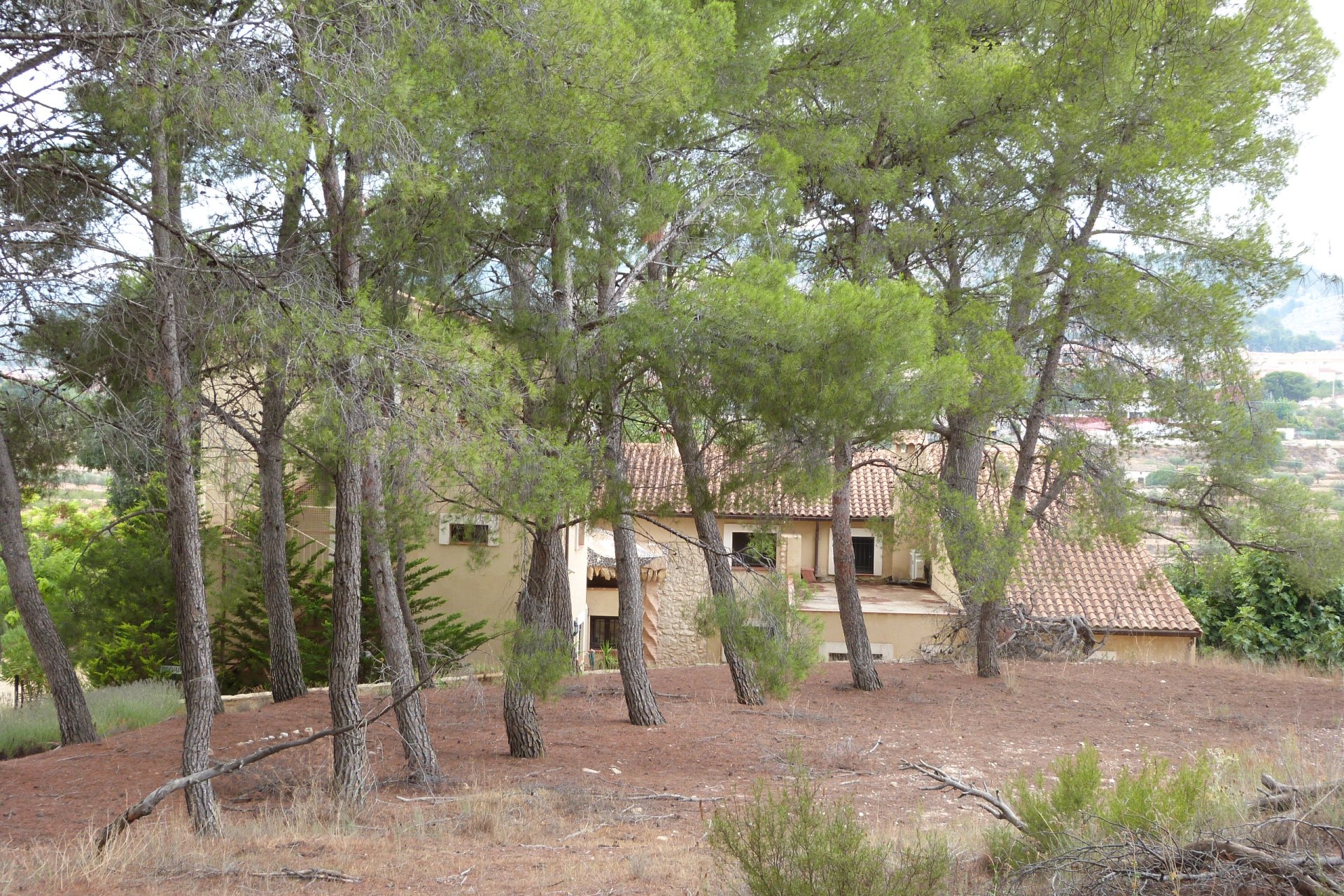 Rynek wtórny - Finca -
Ibi - Ibi - Country