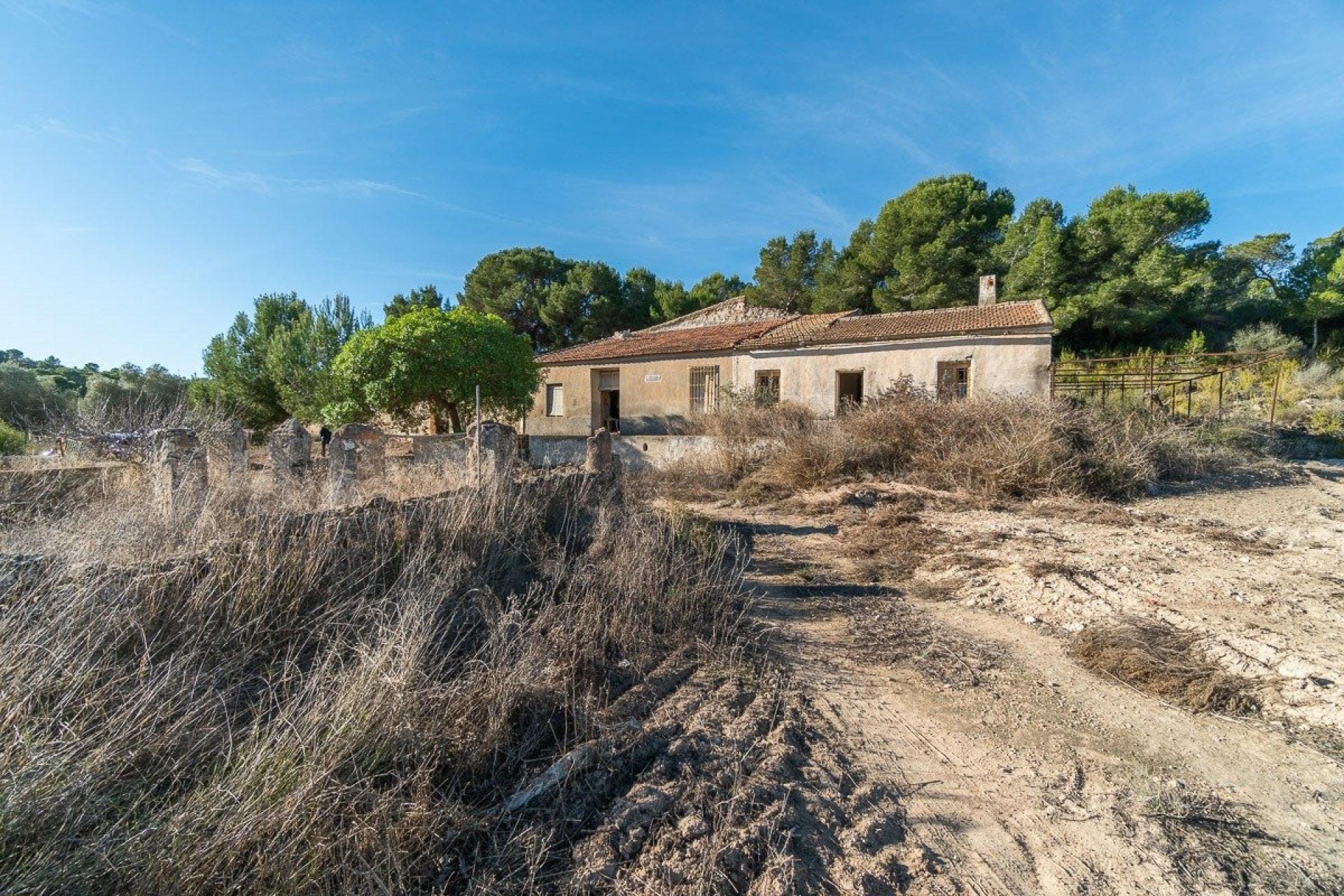 Rynek wtórny - Finca -
Pilar de la Horadada - Pinar de la Perdiz