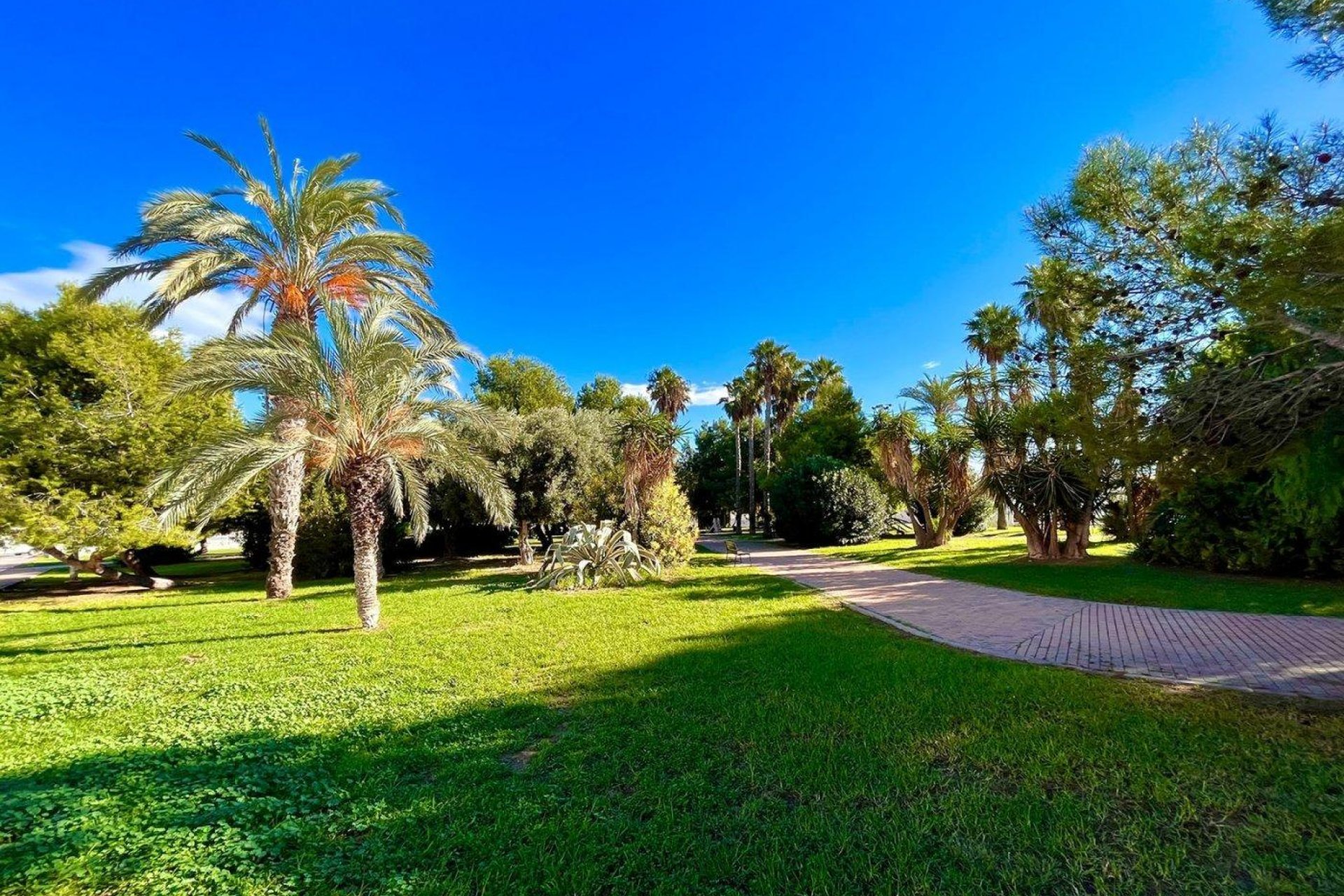 Rynek wtórny - Kamienica -
Torrevieja - Calas blanca