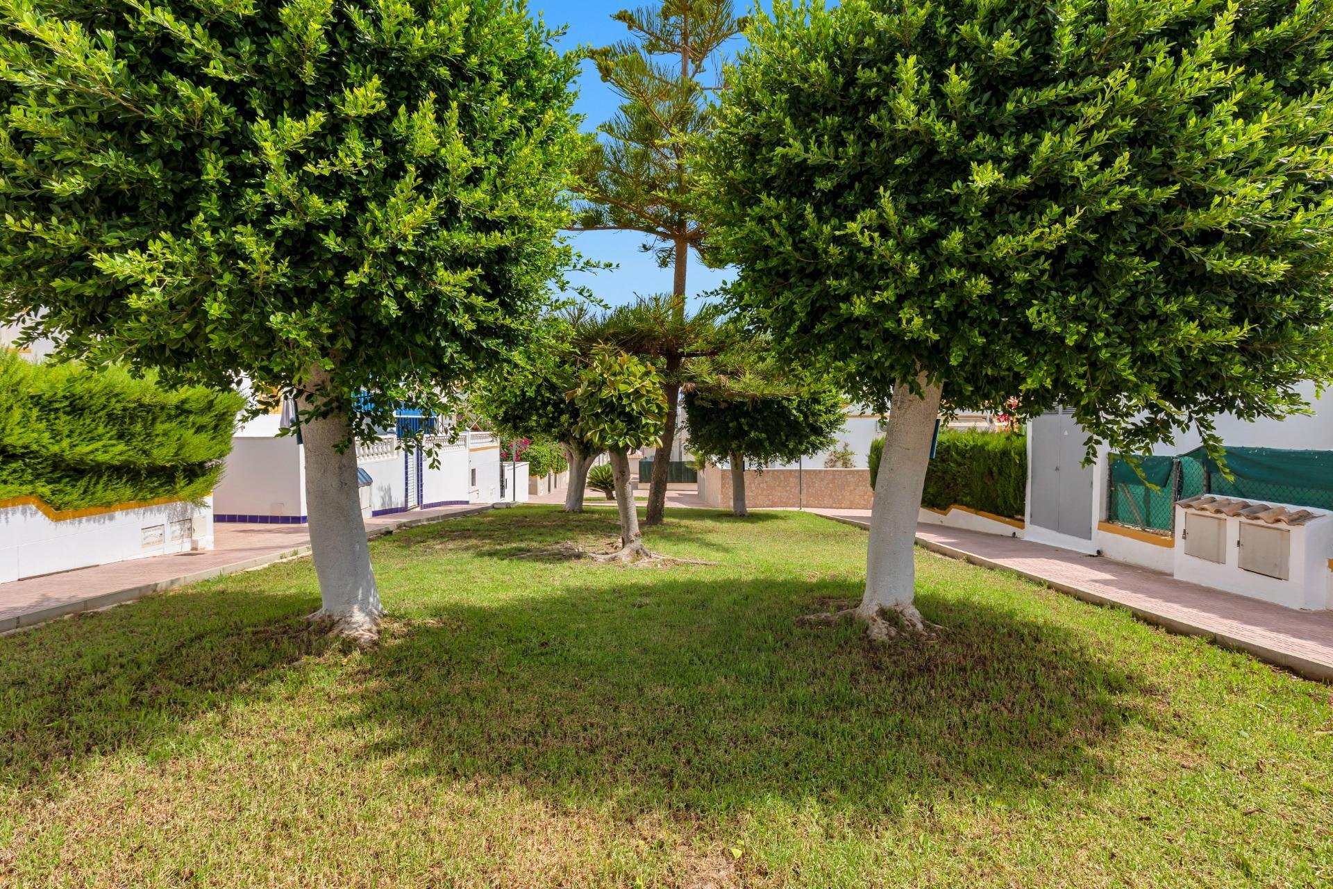 Rynek wtórny - Kamienica -
Torrevieja - Los altos