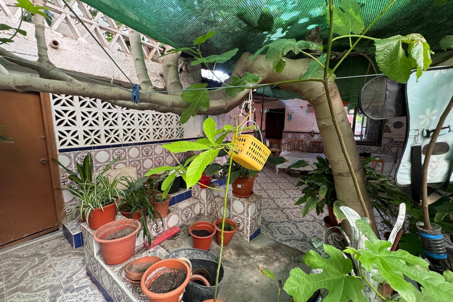 Rynek wtórny - Mieszkanie  -
Benejúzar