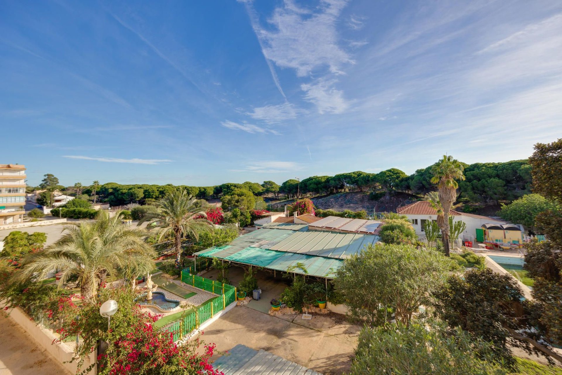 Rynek wtórny - Mieszkanie  -
Guardamar del Segura - Pinomar