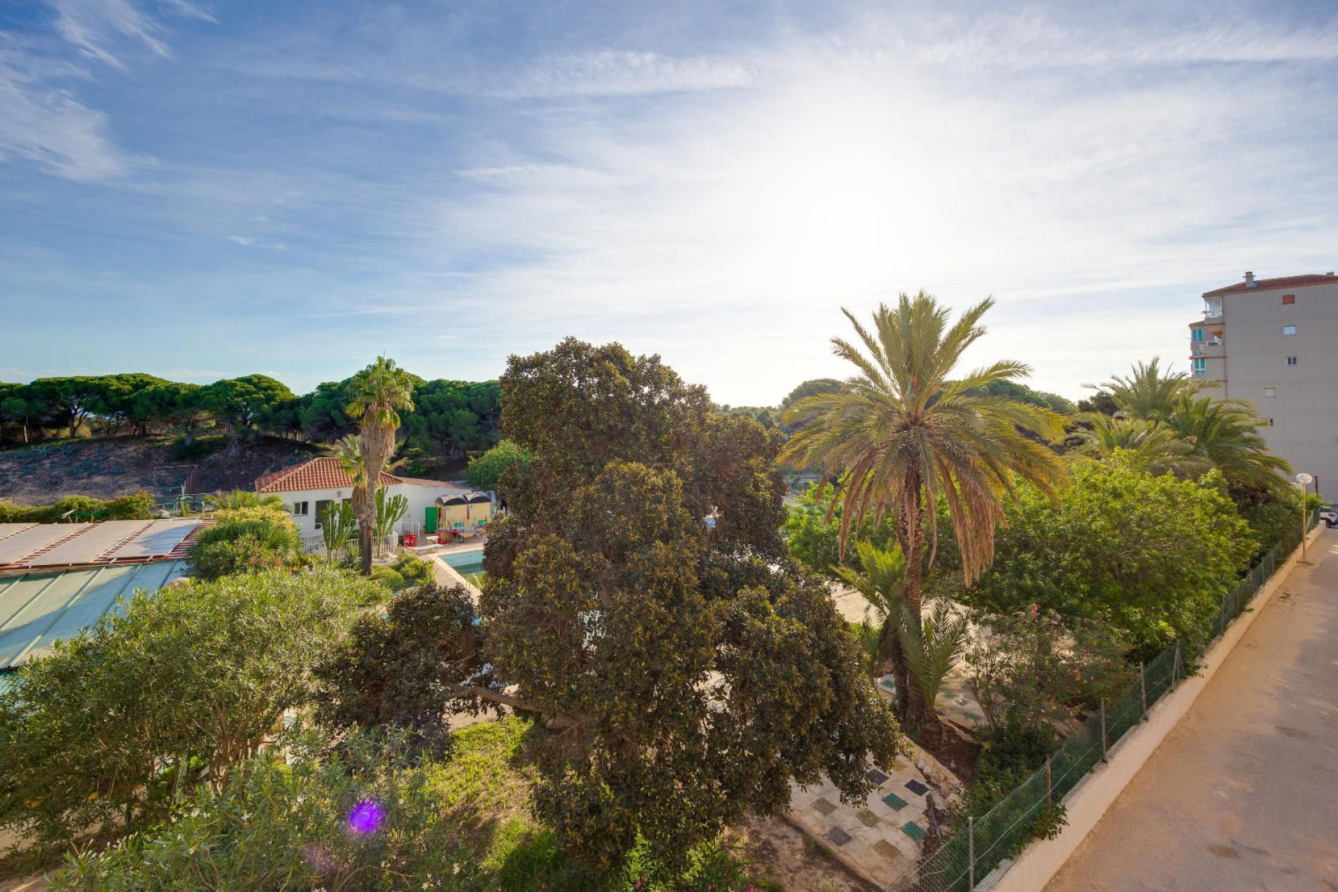 Rynek wtórny - Mieszkanie  -
Guardamar del Segura - Pinomar