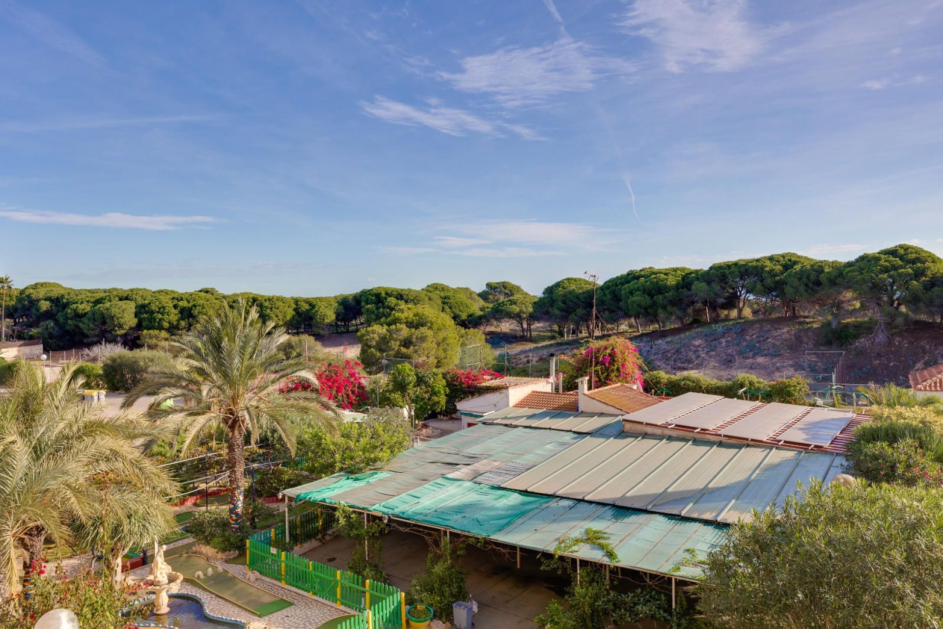 Rynek wtórny - Mieszkanie  -
Guardamar del Segura - Pinomar