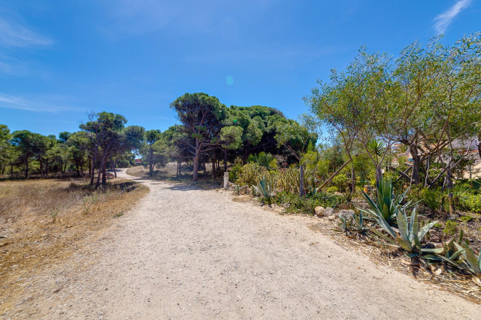 Rynek wtórny - Mieszkanie  -
Guardamar del Segura - Pinomar
