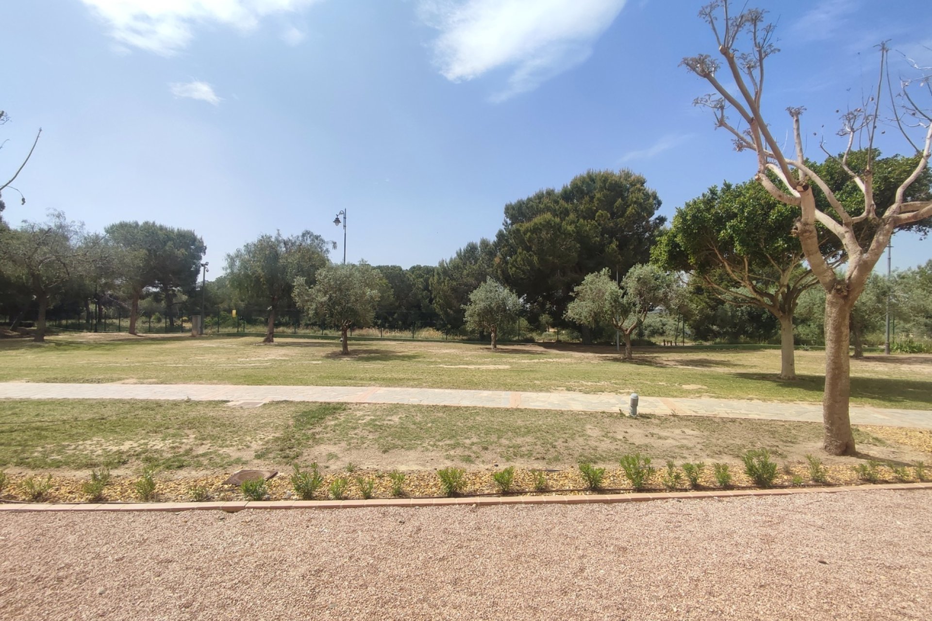 Rynek wtórny - Mieszkanie  -
Hacienda Riquelme Golf Resort - Hacienda Riquelme Golf Resort - Centre