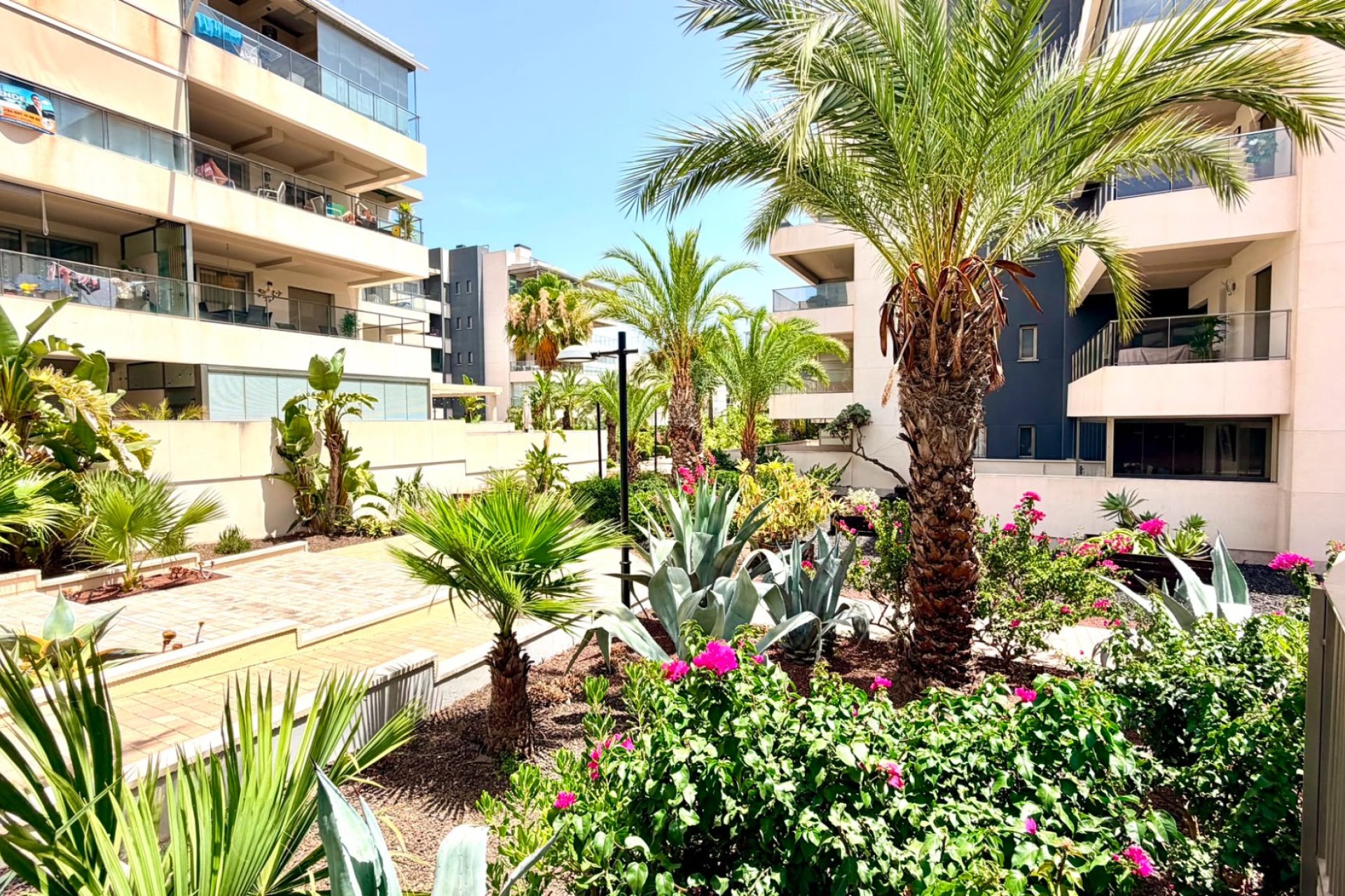Rynek wtórny - Mieszkanie  -
Orihuela Costa - La Zenia