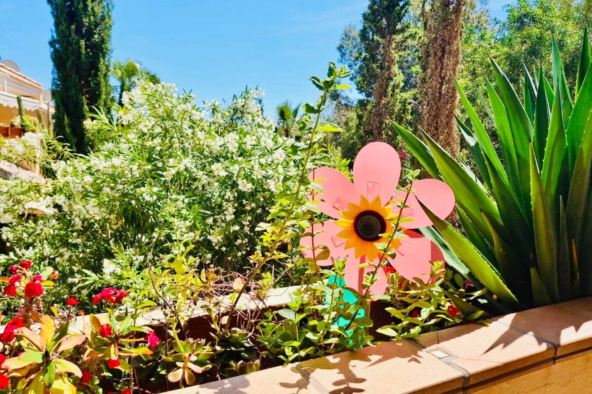 Rynek wtórny - Mieszkanie  -
Orihuela Costa - Lomas de Campoamor