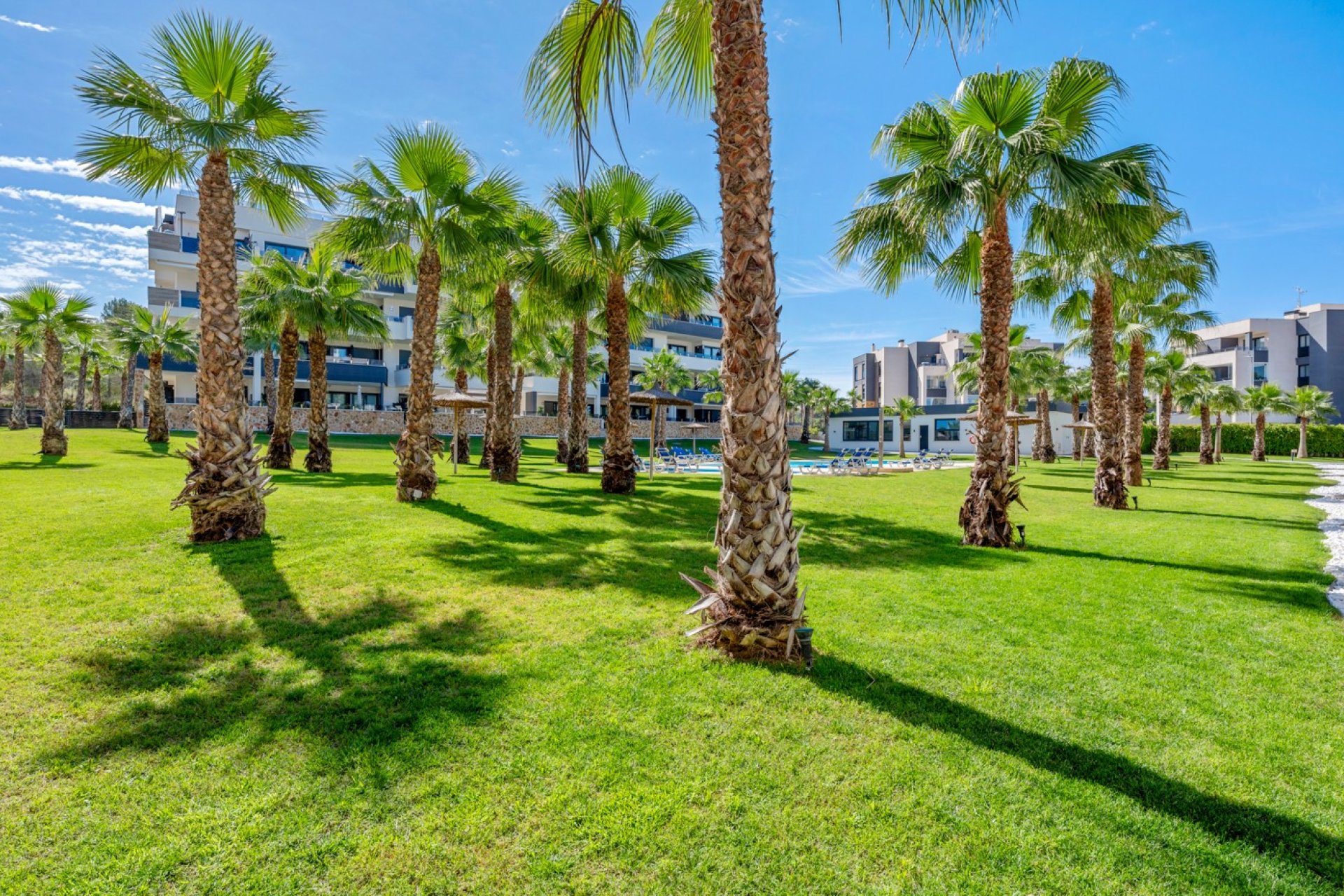 Rynek wtórny - Mieszkanie  -
Orihuela Costa - Los Altos