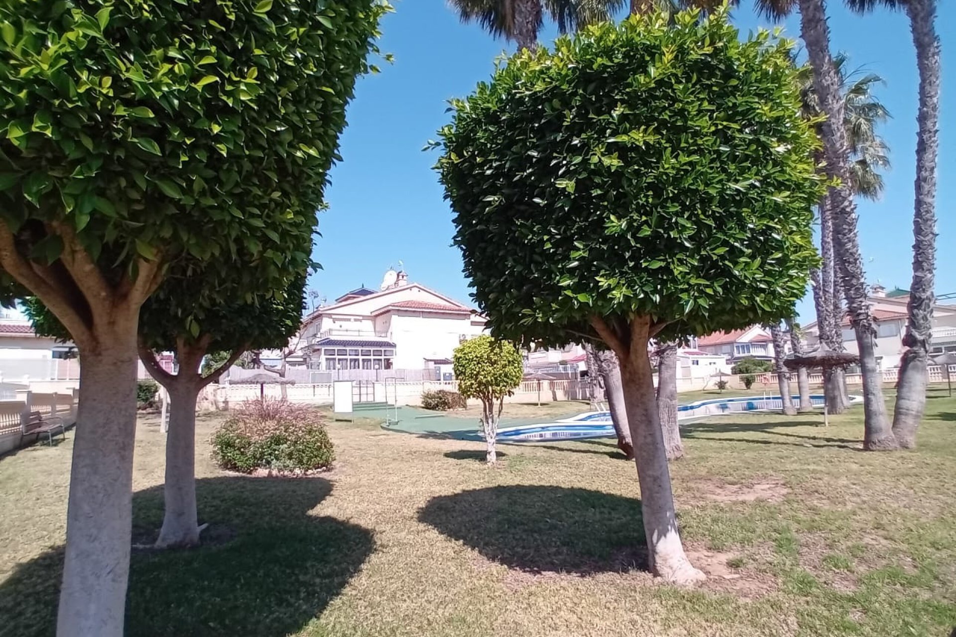 Rynek wtórny - Mieszkanie  -
Orihuela Costa - Playa Flamenca