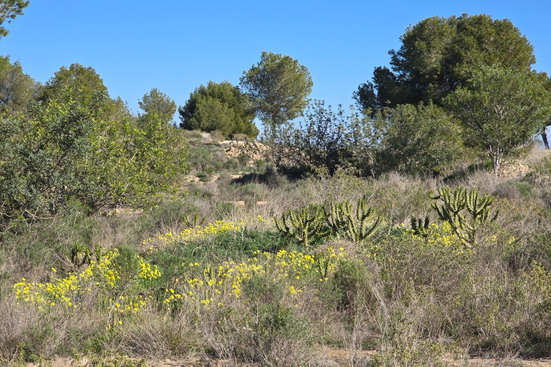 Rynek wtórny - Mieszkanie  -
Orihuela Costa - Villamartin