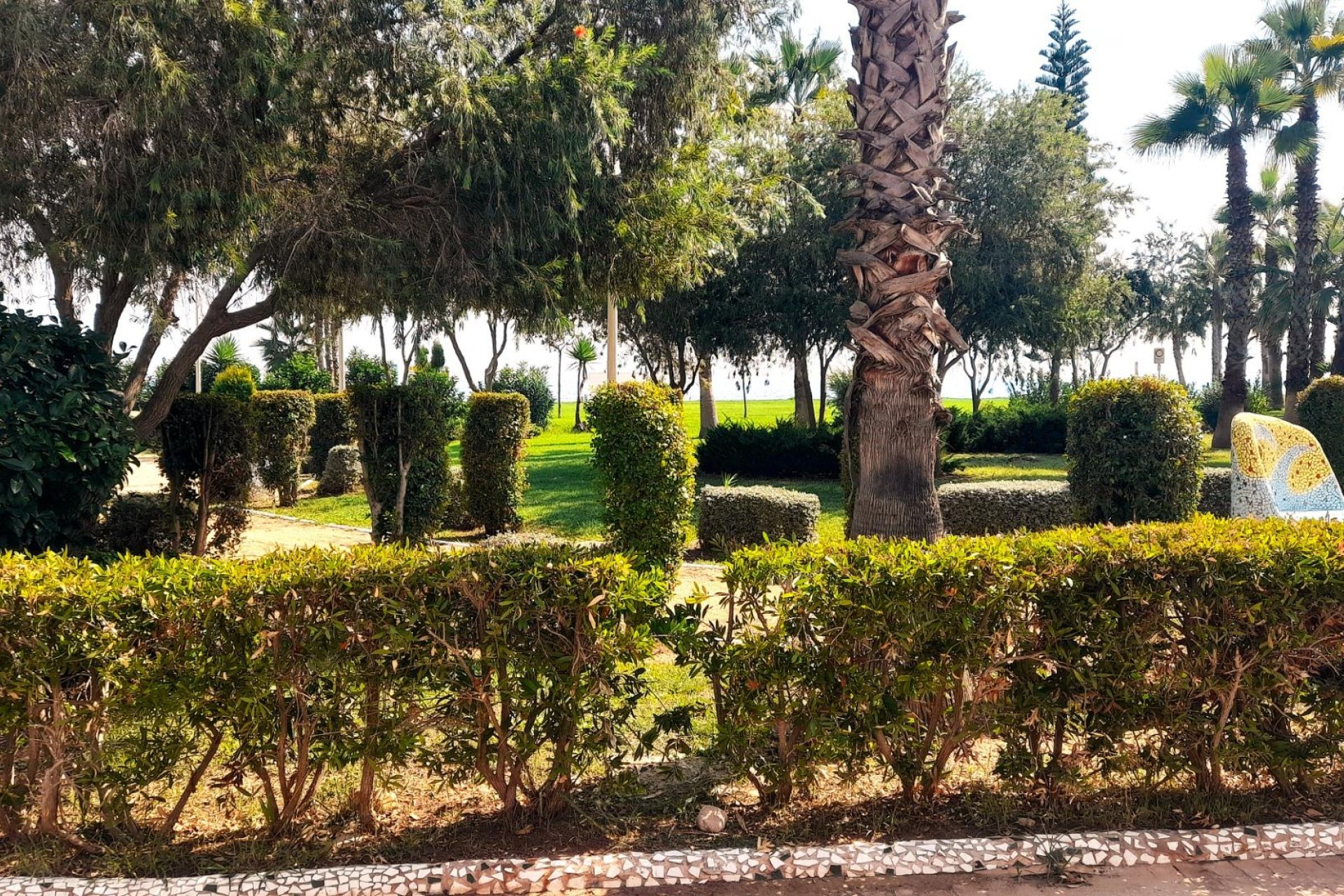 Rynek wtórny - Mieszkanie  -
Oropesa del Mar - Orpesa - Oropesa del Mar