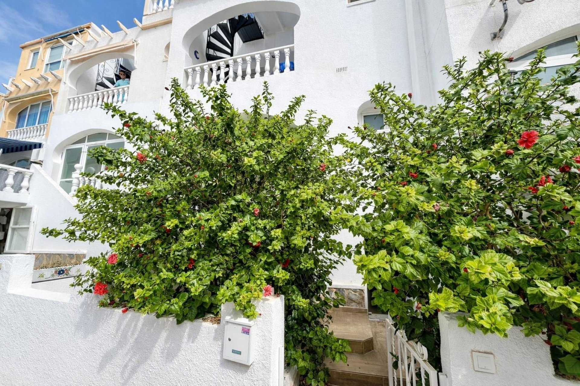 Rynek wtórny - Mieszkanie  -
San Miguel de Salinas - Las filipinas