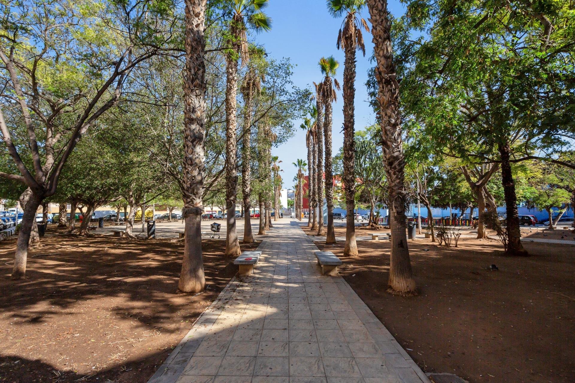 Rynek wtórny - Mieszkanie  -
Torrevieja - Centro