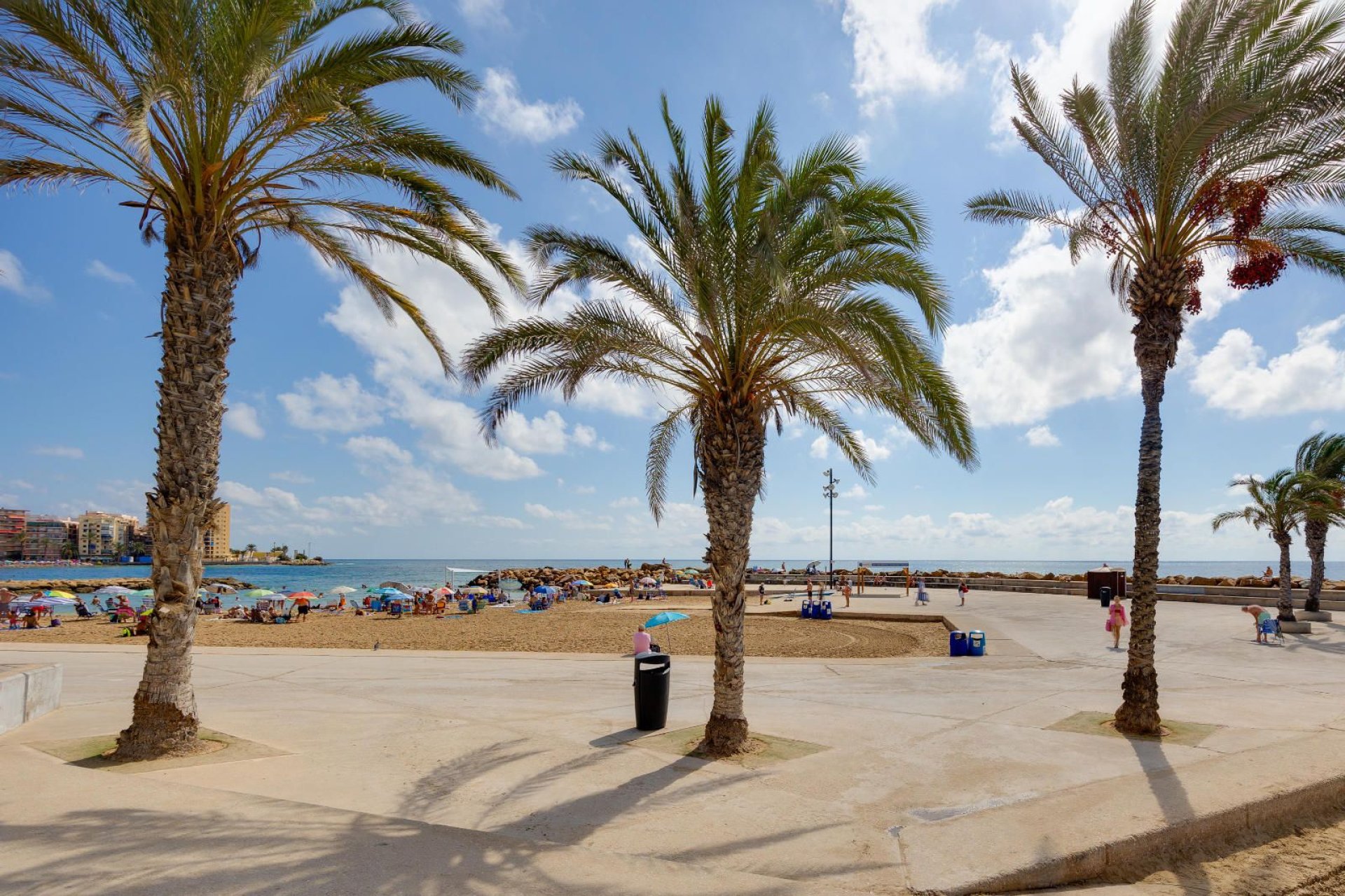 Rynek wtórny - Mieszkanie  -
Torrevieja - Centro