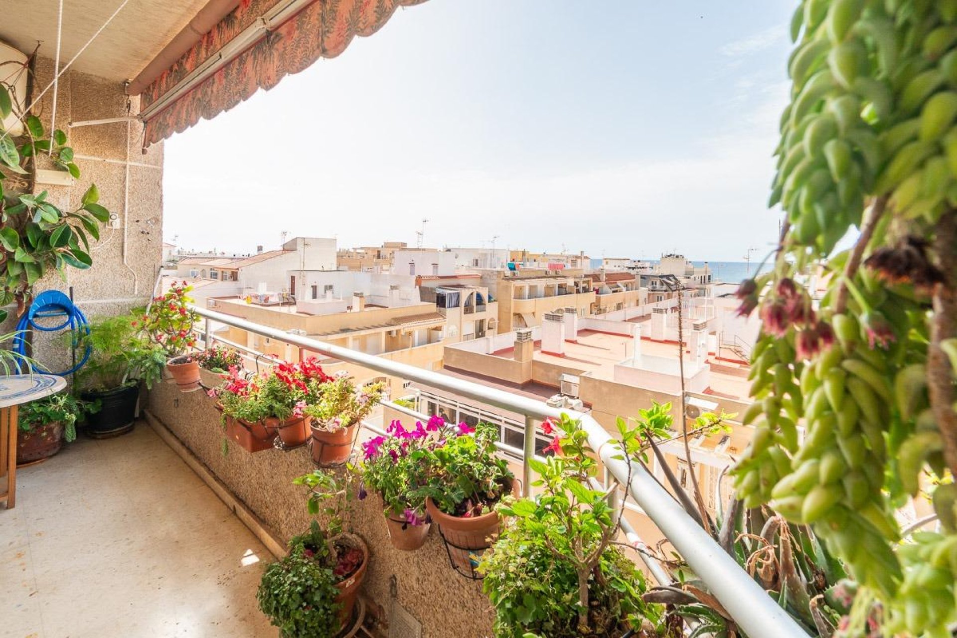 Rynek wtórny - Mieszkanie  -
Torrevieja - Centro