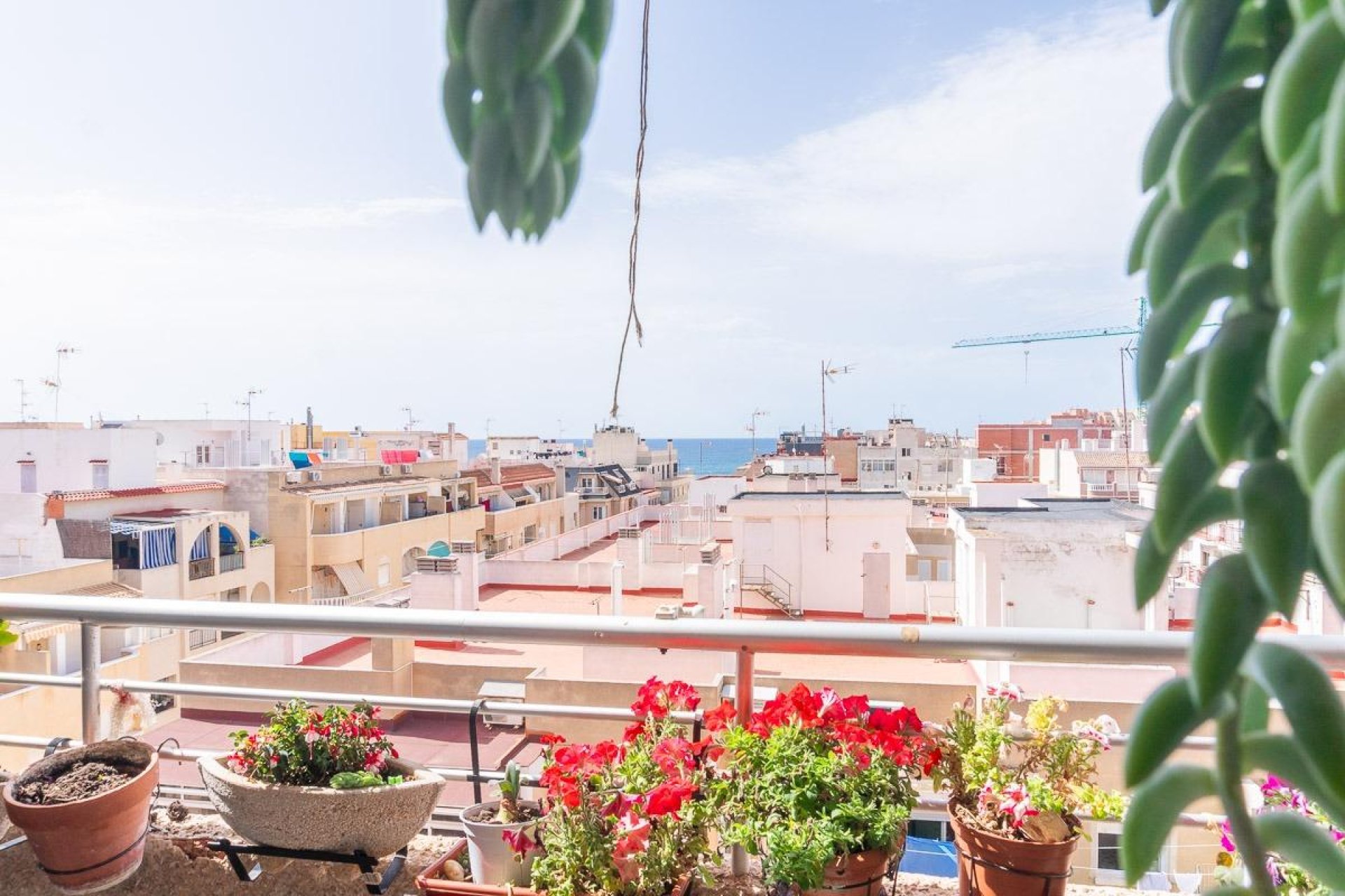 Rynek wtórny - Mieszkanie  -
Torrevieja - Centro