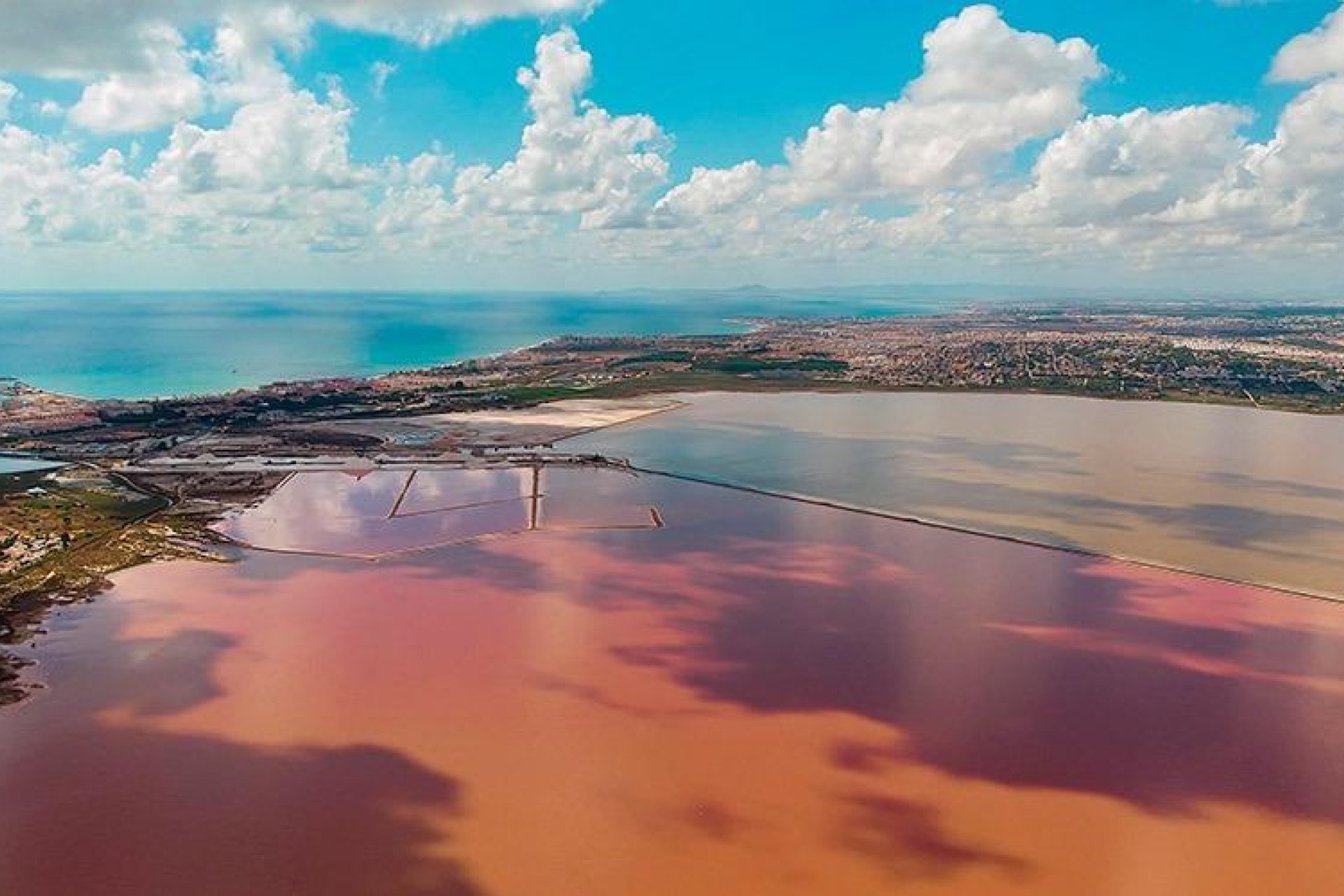Rynek wtórny - Mieszkanie  -
Torrevieja - La Mata