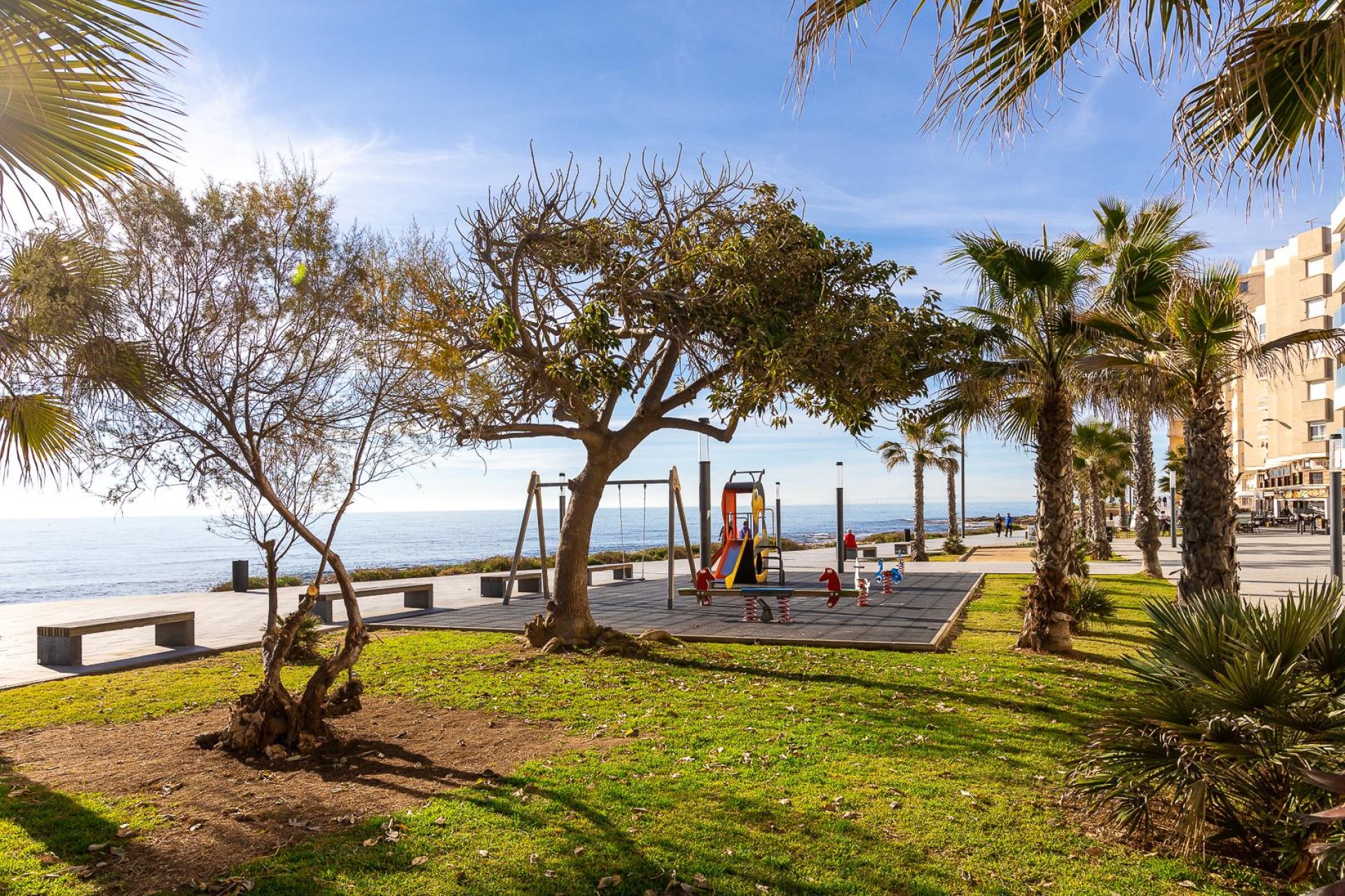 Rynek wtórny - Mieszkanie  -
Torrevieja - Parque de las Naciones