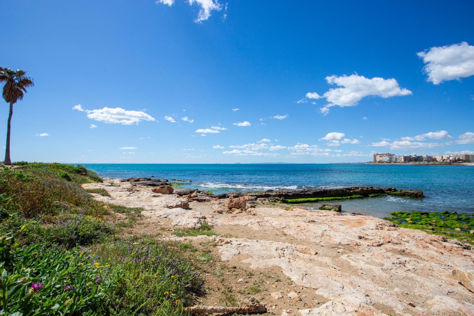 Rynek wtórny - Mieszkanie  -
Torrevieja - Paseo maritimo