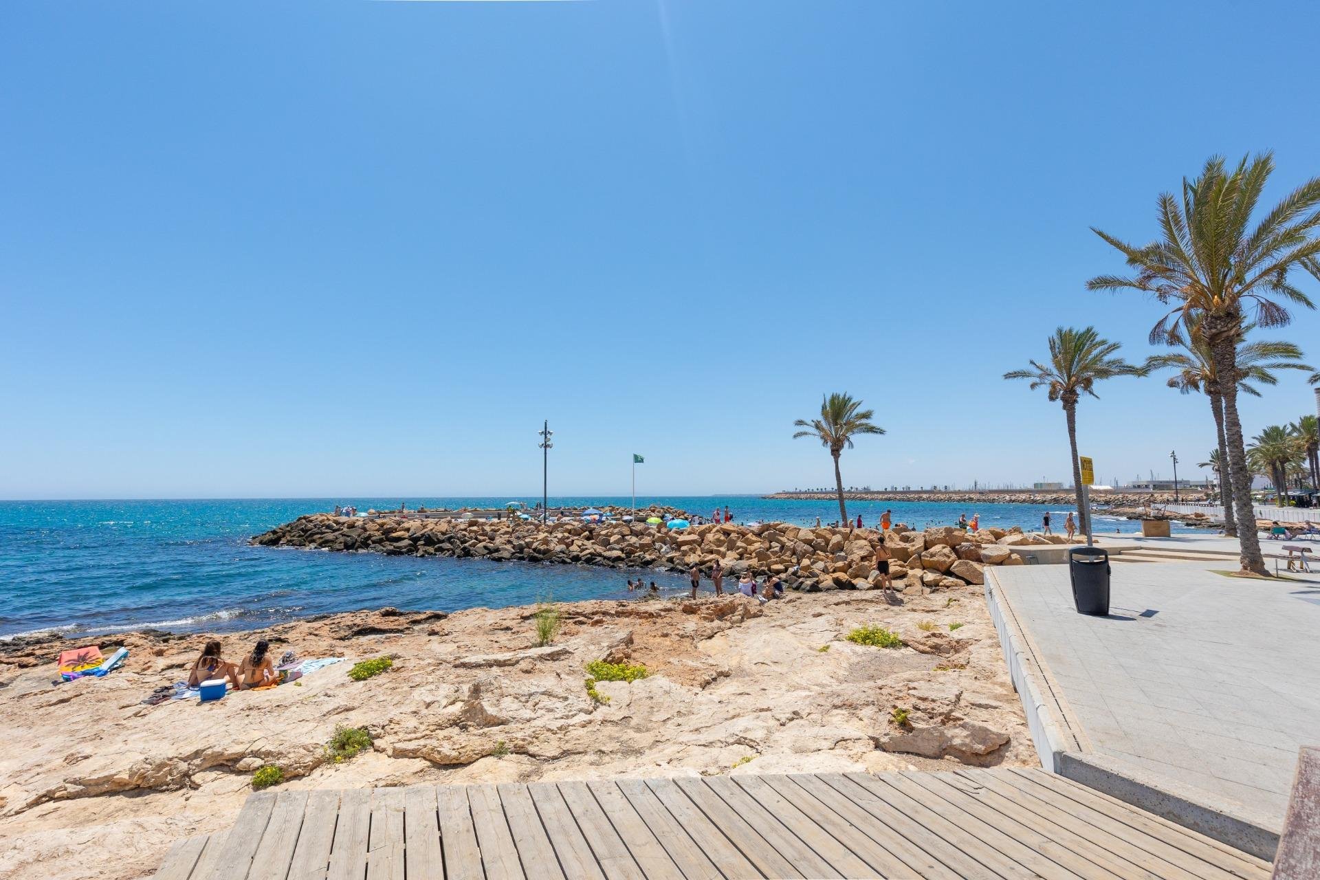 Rynek wtórny - Mieszkanie  -
Torrevieja - Paseo maritimo