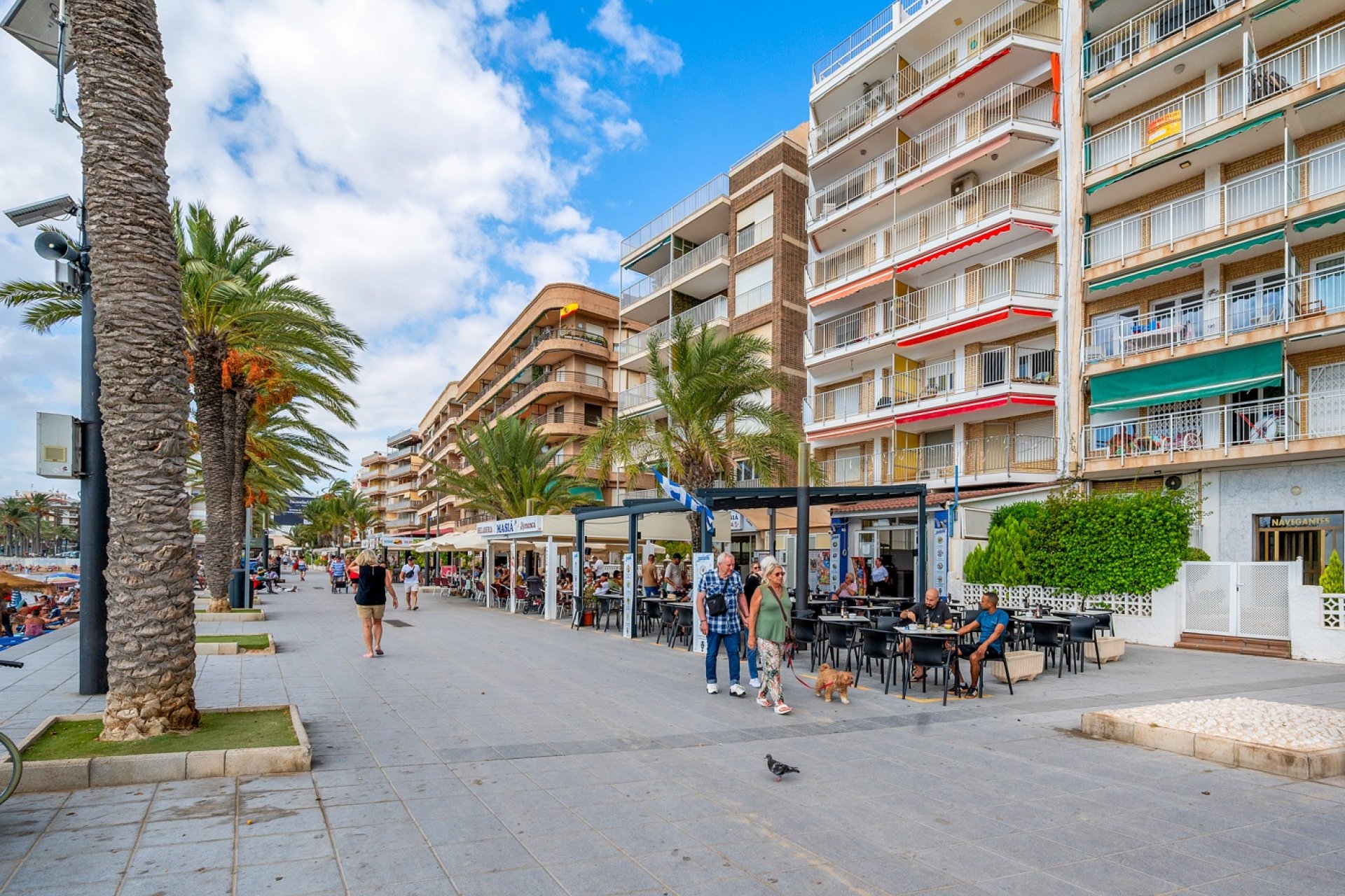 Rynek wtórny - Mieszkanie  -
Torrevieja - Playa Del Cura