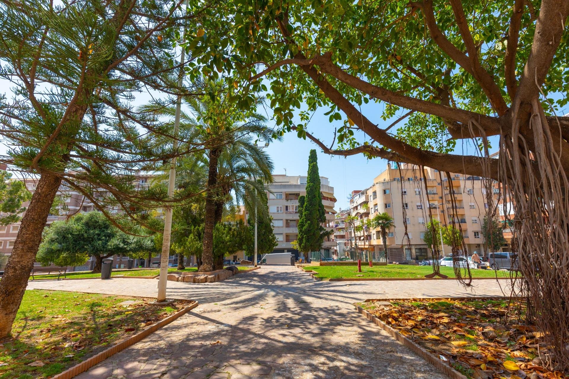 Rynek wtórny - Mieszkanie  -
Torrevieja - Playa del Cura