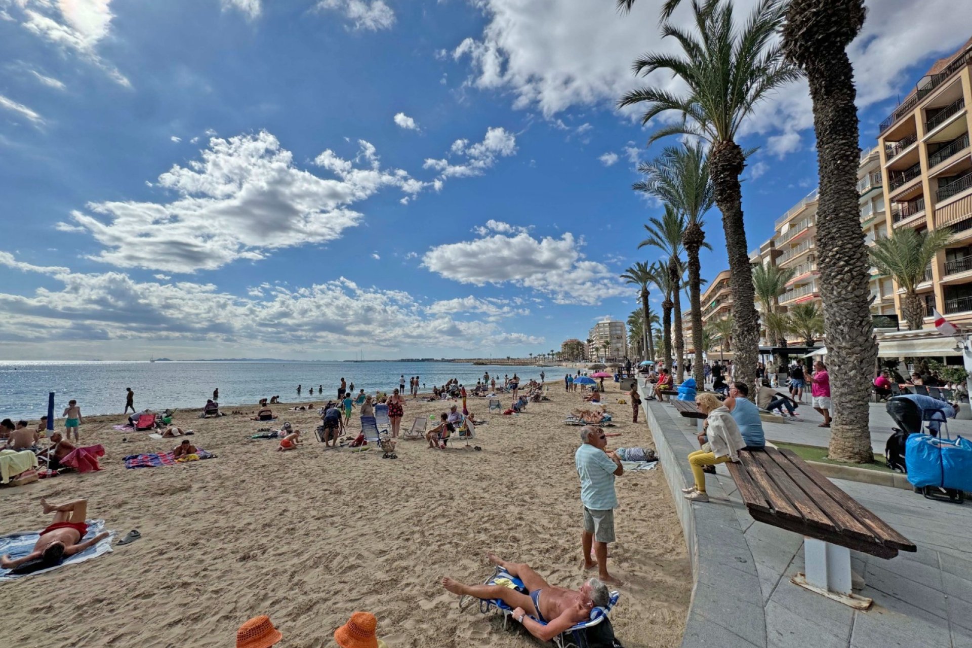 Rynek wtórny - Mieszkanie  -
Torrevieja - Playa del Cura