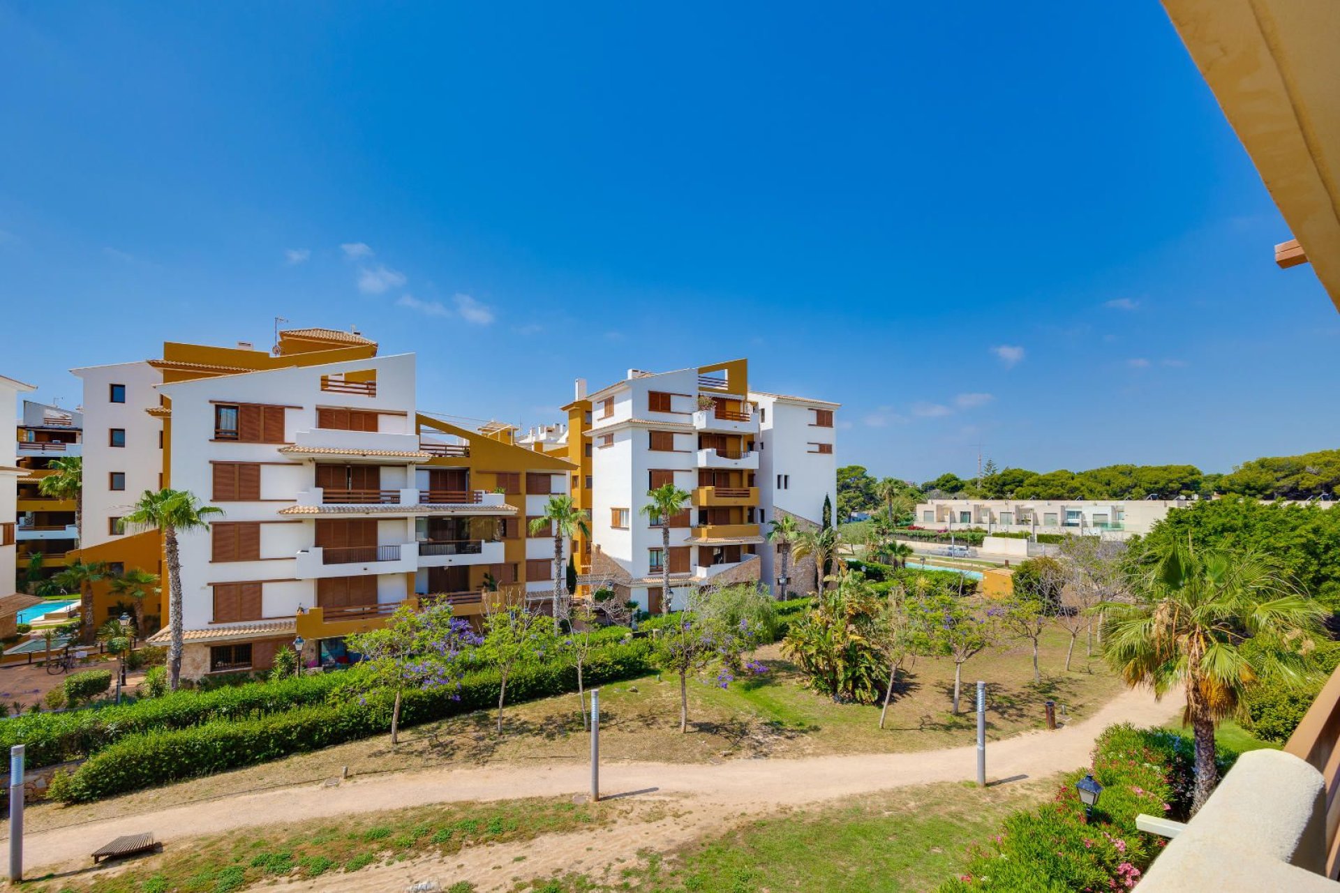Rynek wtórny - Mieszkanie  -
Torrevieja - Punta prima