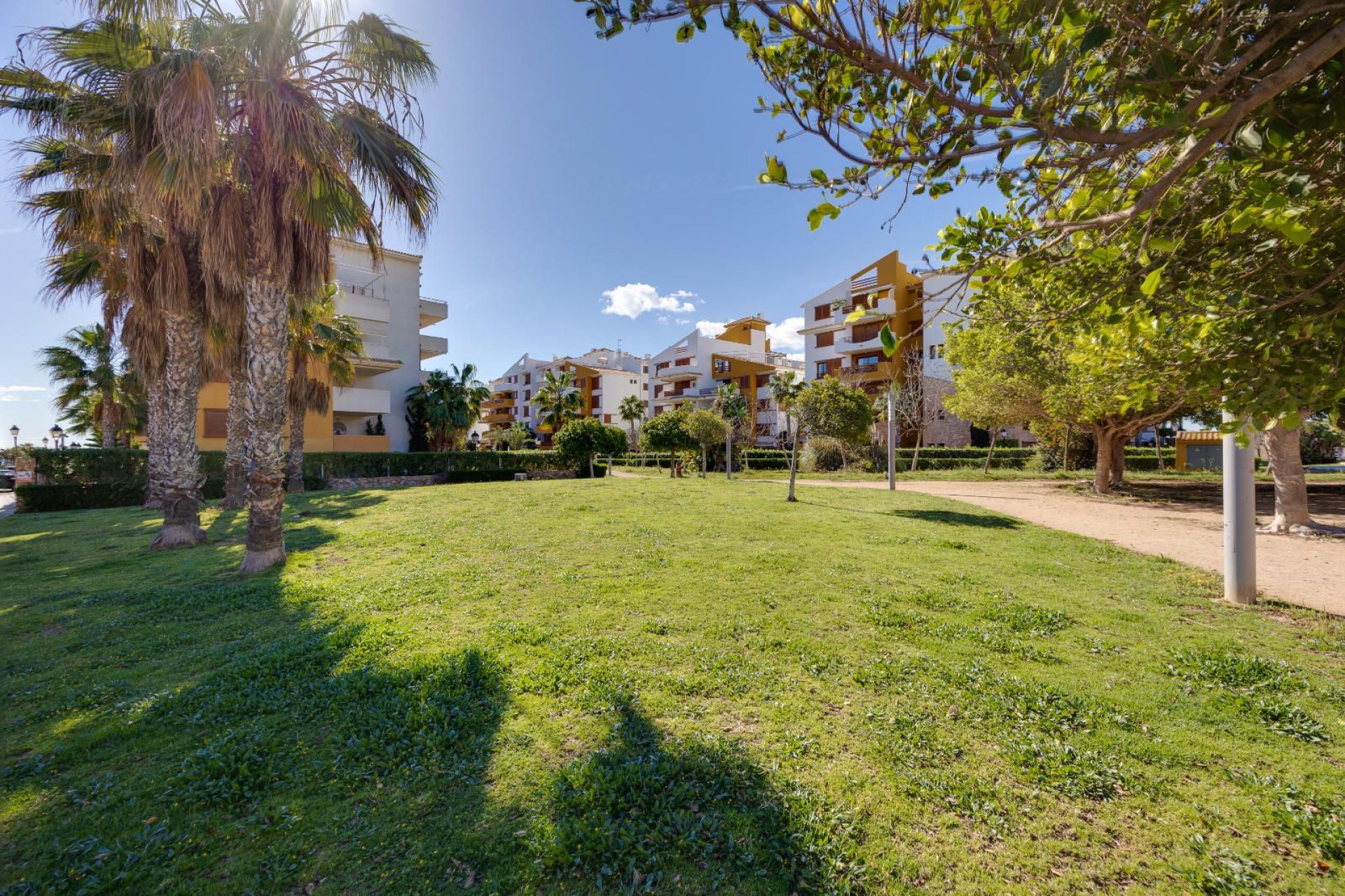Rynek wtórny - Mieszkanie  -
Torrevieja - Punta prima
