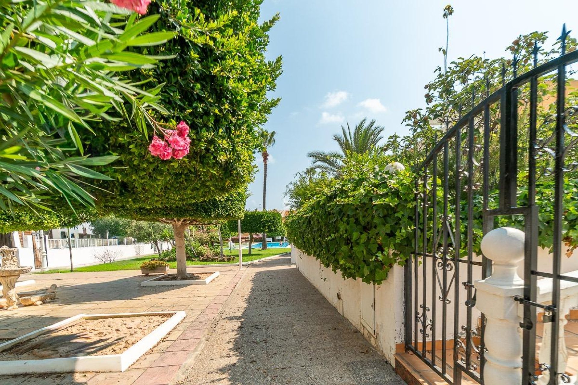 Rynek wtórny - Mieszkanie  -
Torrevieja - Torreblanca