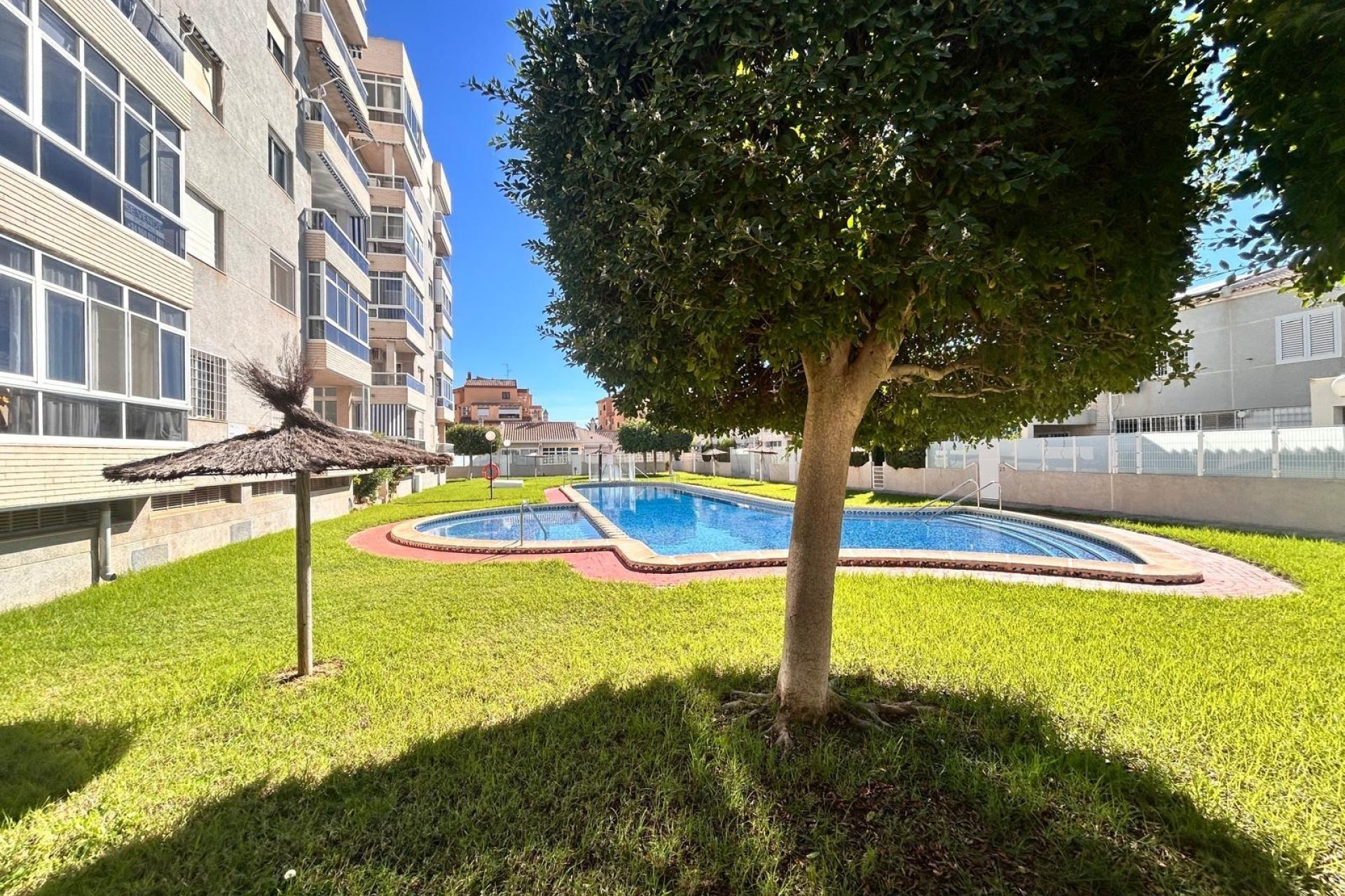 Rynek wtórny - Mieszkanie  -
Torrevieja - Torreblanca
