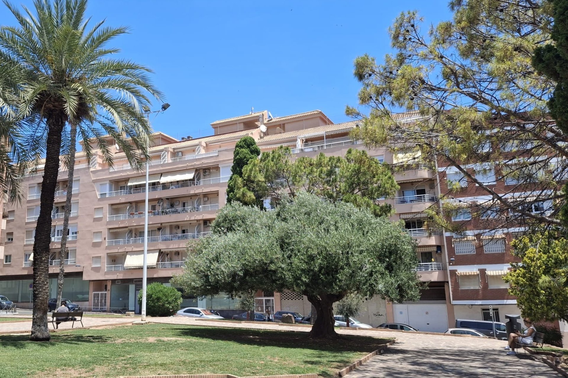 Rynek wtórny - Mieszkanie  -
Torrevieja - Torrevieja - Centre