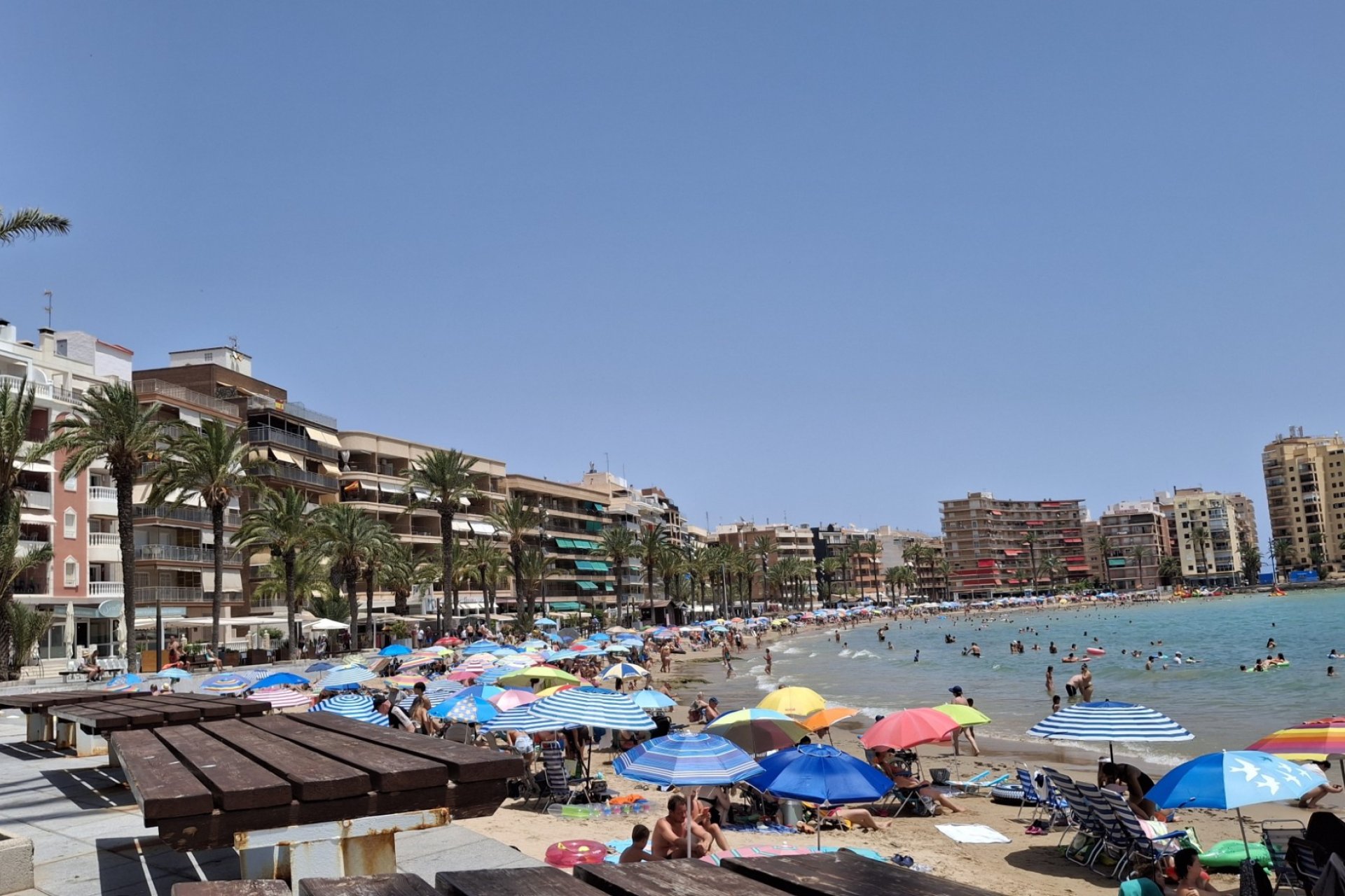 Rynek wtórny - Mieszkanie  -
Torrevieja - Torrevieja - Centre