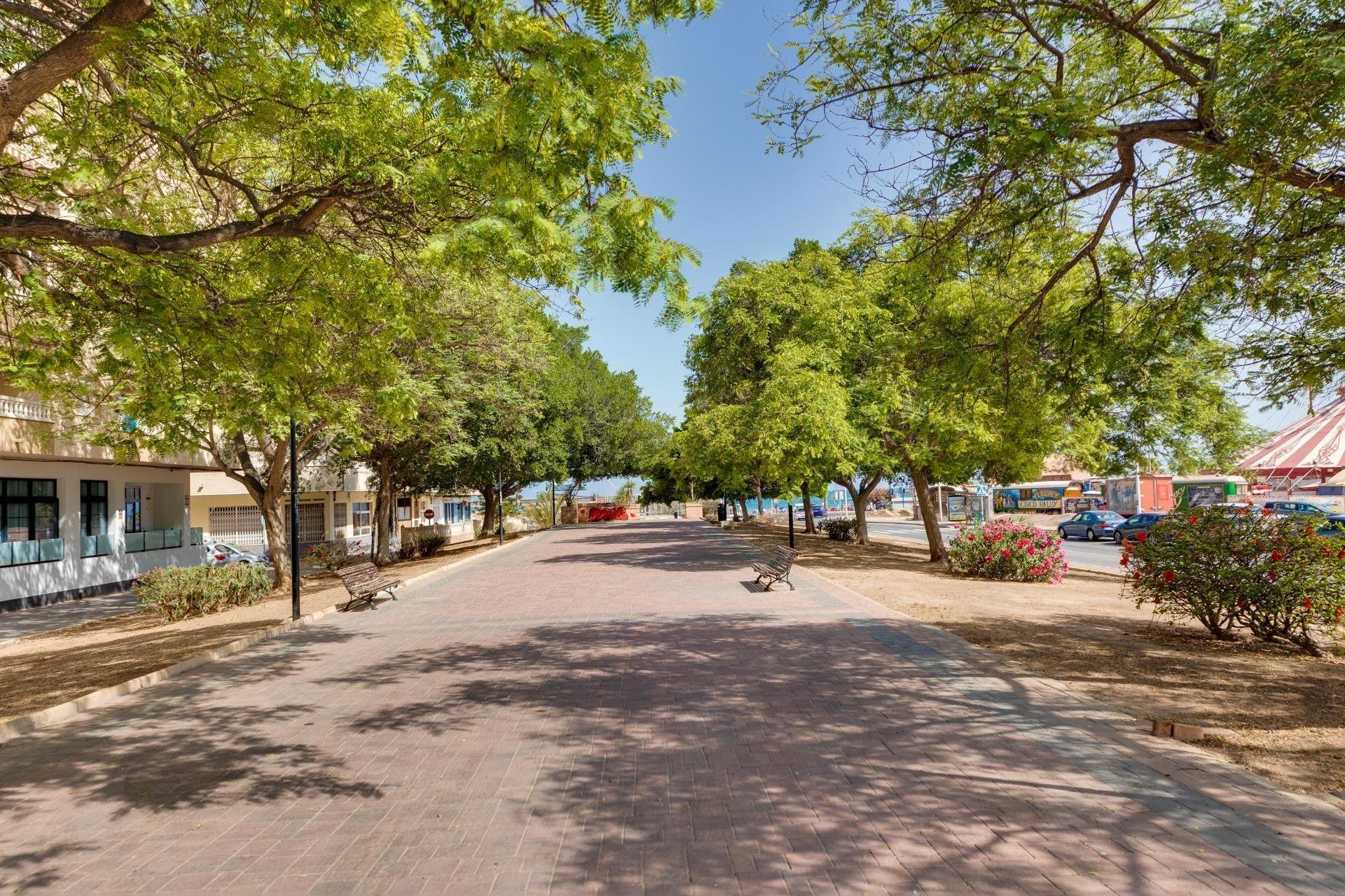 Rynek wtórny - Mieszkanie w bloku -
Torrevieja - Acequion