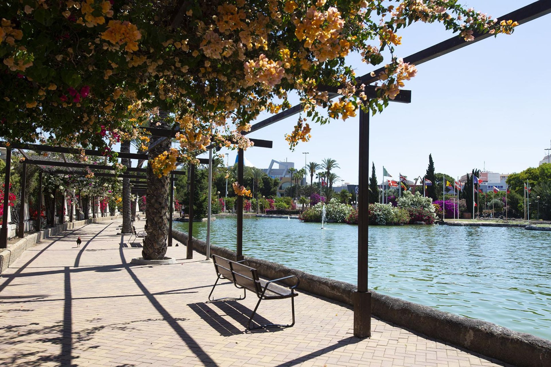 Rynek wtórny - Mieszkanie w bloku -
Torrevieja - Centro