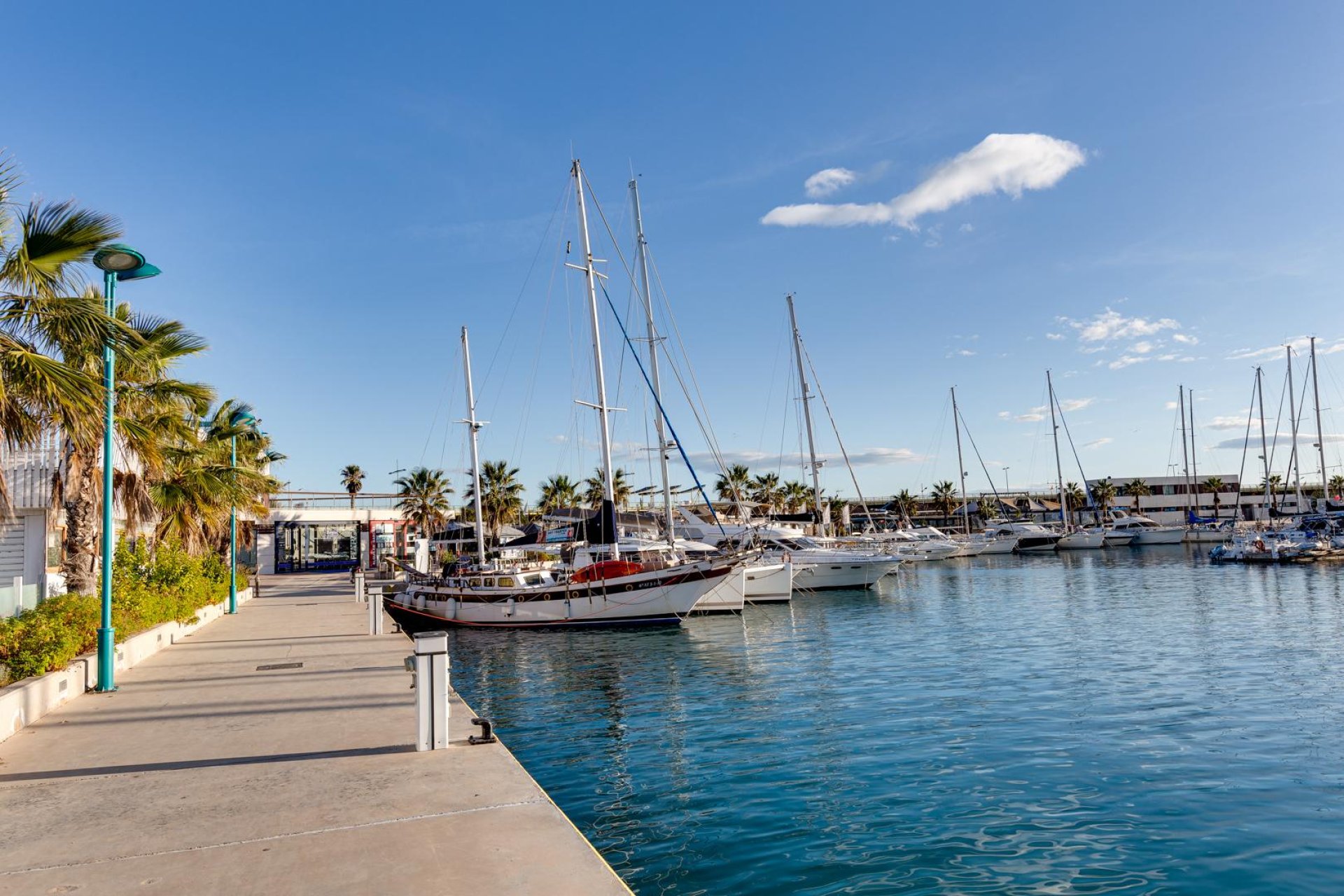 Rynek wtórny - Mieszkanie w bloku -
Torrevieja - Centro