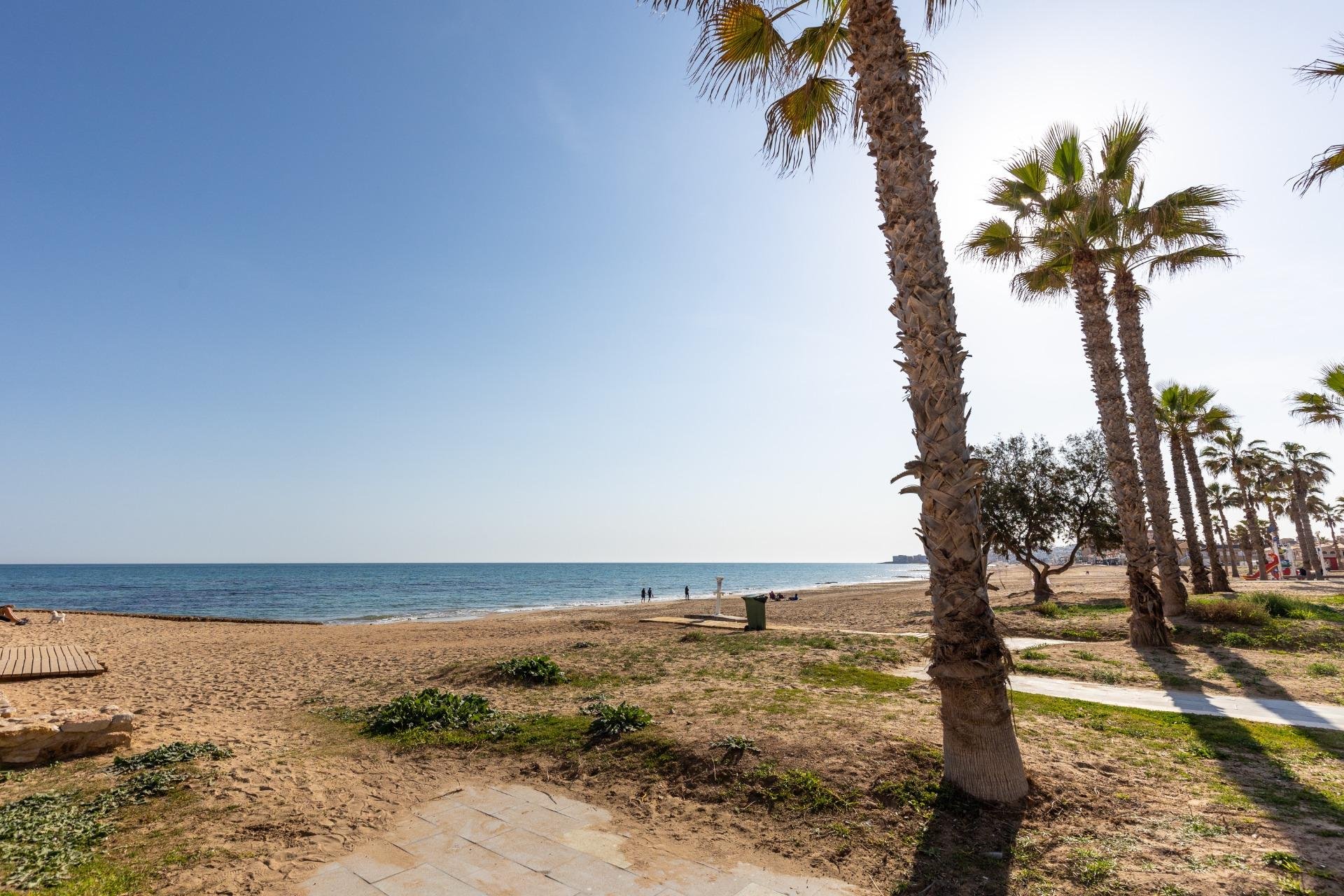 Rynek wtórny - Mieszkanie w bloku -
Torrevieja - La Mata pueblo