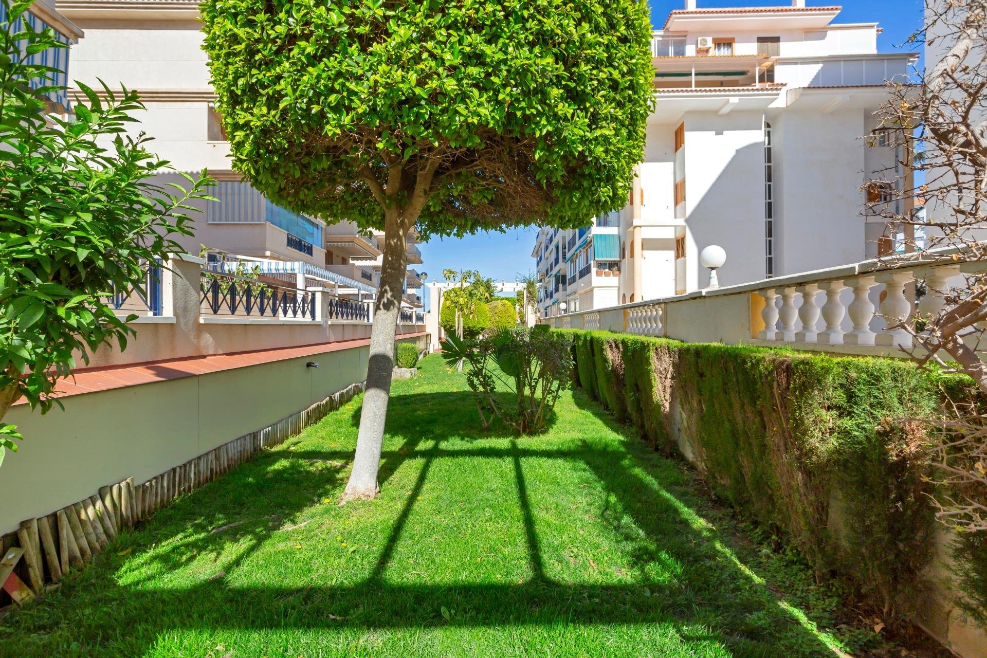 Rynek wtórny - Mieszkanie w bloku -
Torrevieja - La Mata