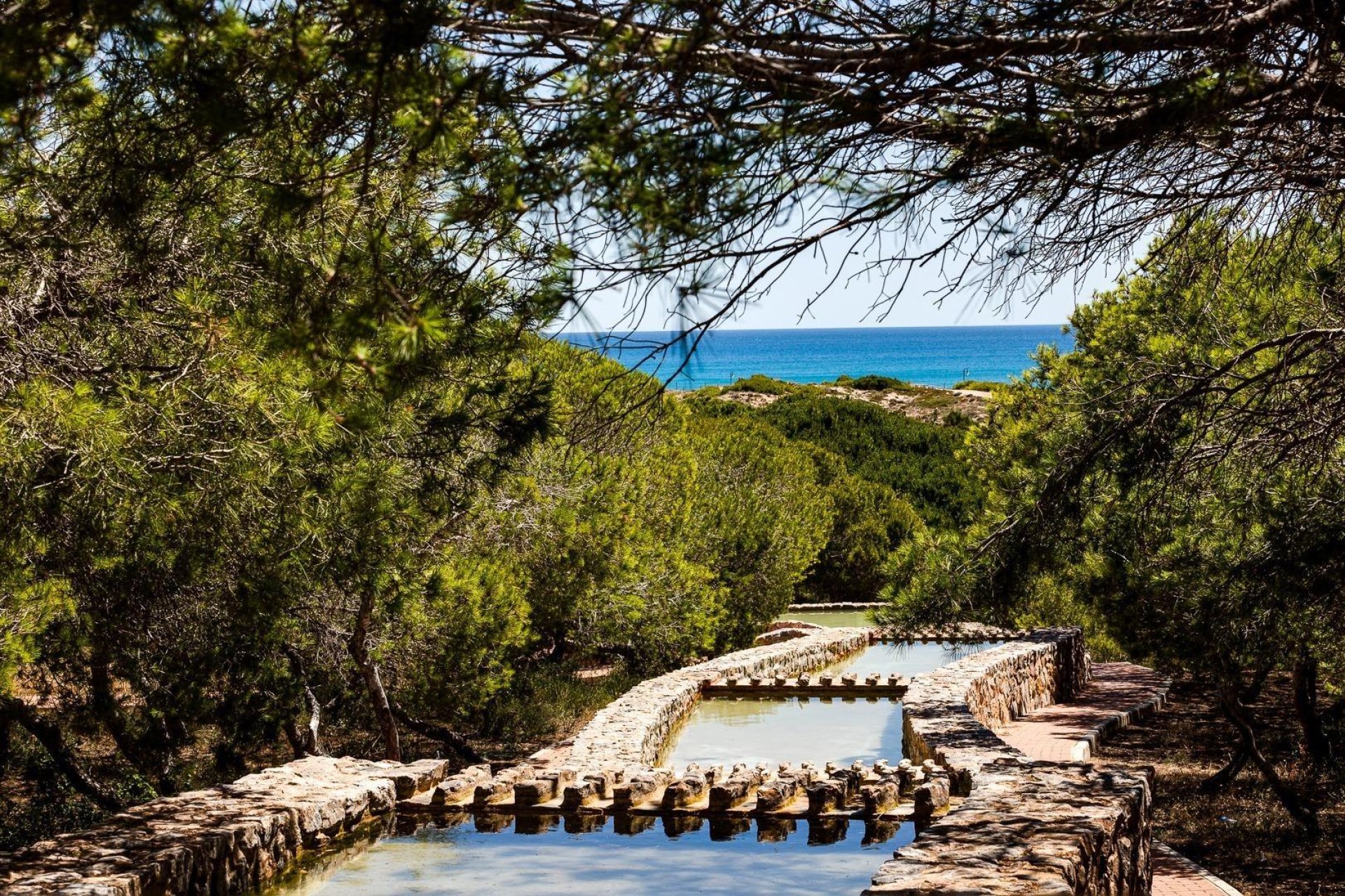 Rynek wtórny - Mieszkanie w bloku -
Torrevieja - La Mata