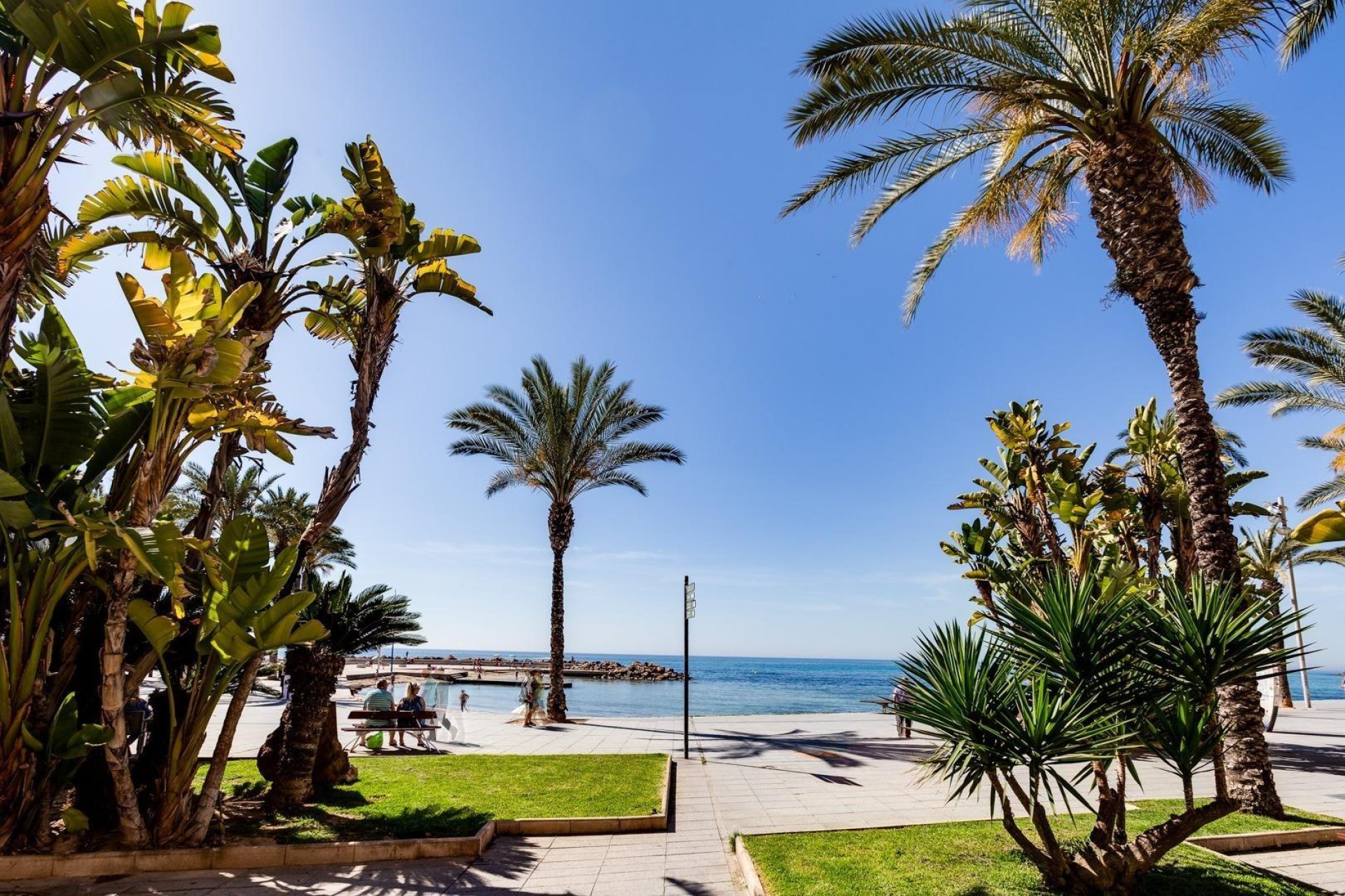 Rynek wtórny - Mieszkanie w bloku -
Torrevieja - Playa del Cura