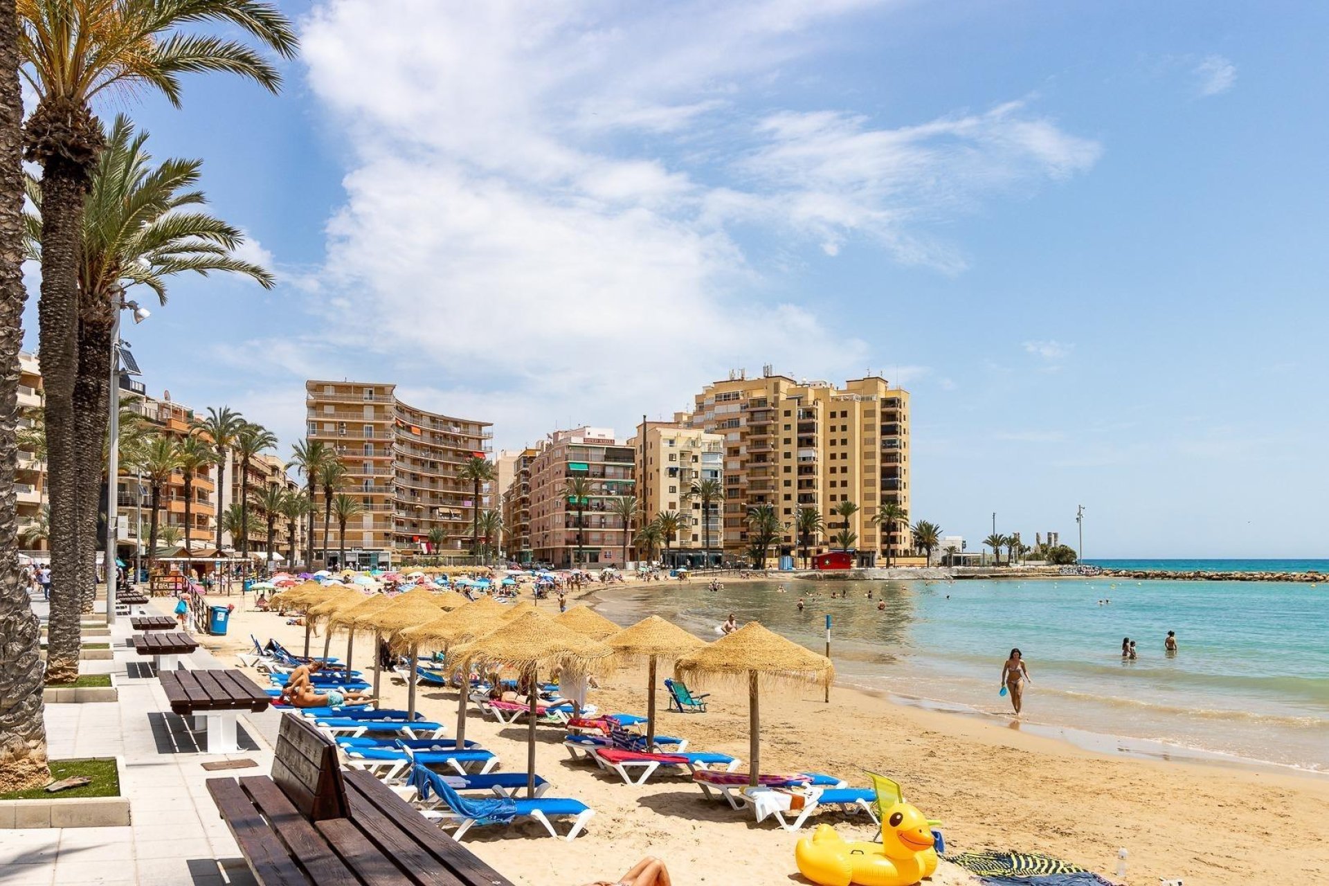 Rynek wtórny - Mieszkanie w bloku -
Torrevieja - Playa del Cura