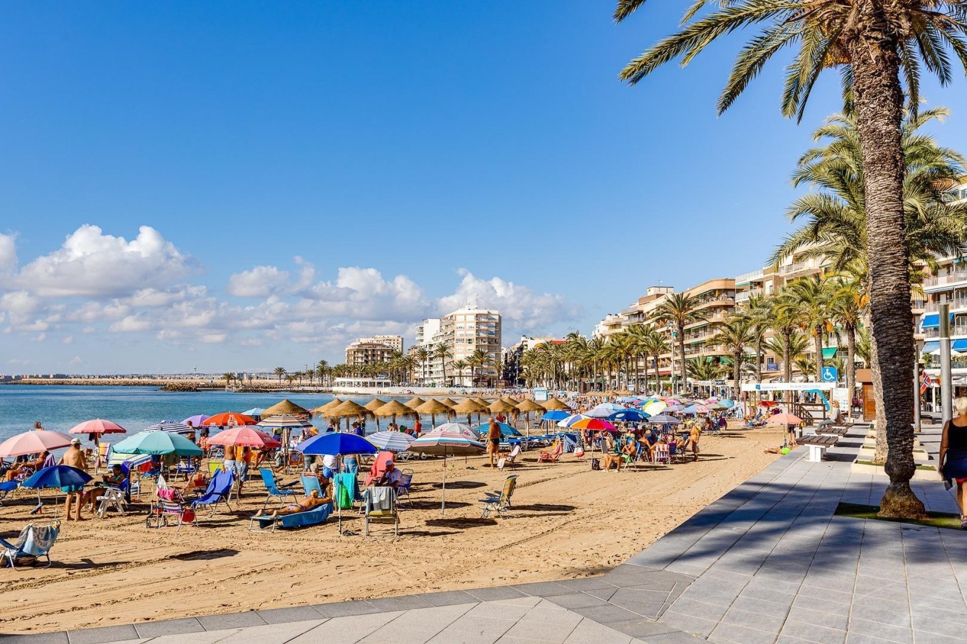 Rynek wtórny - Mieszkanie w bloku -
Torrevieja - Playa del Cura