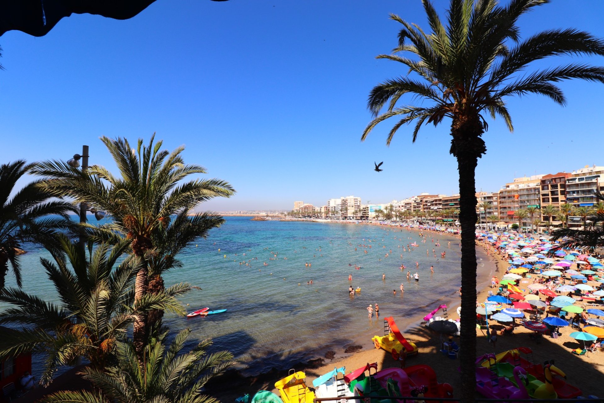 Rynek wtórny - Mieszkanie w bloku -
Torrevieja - Playa Del Cura