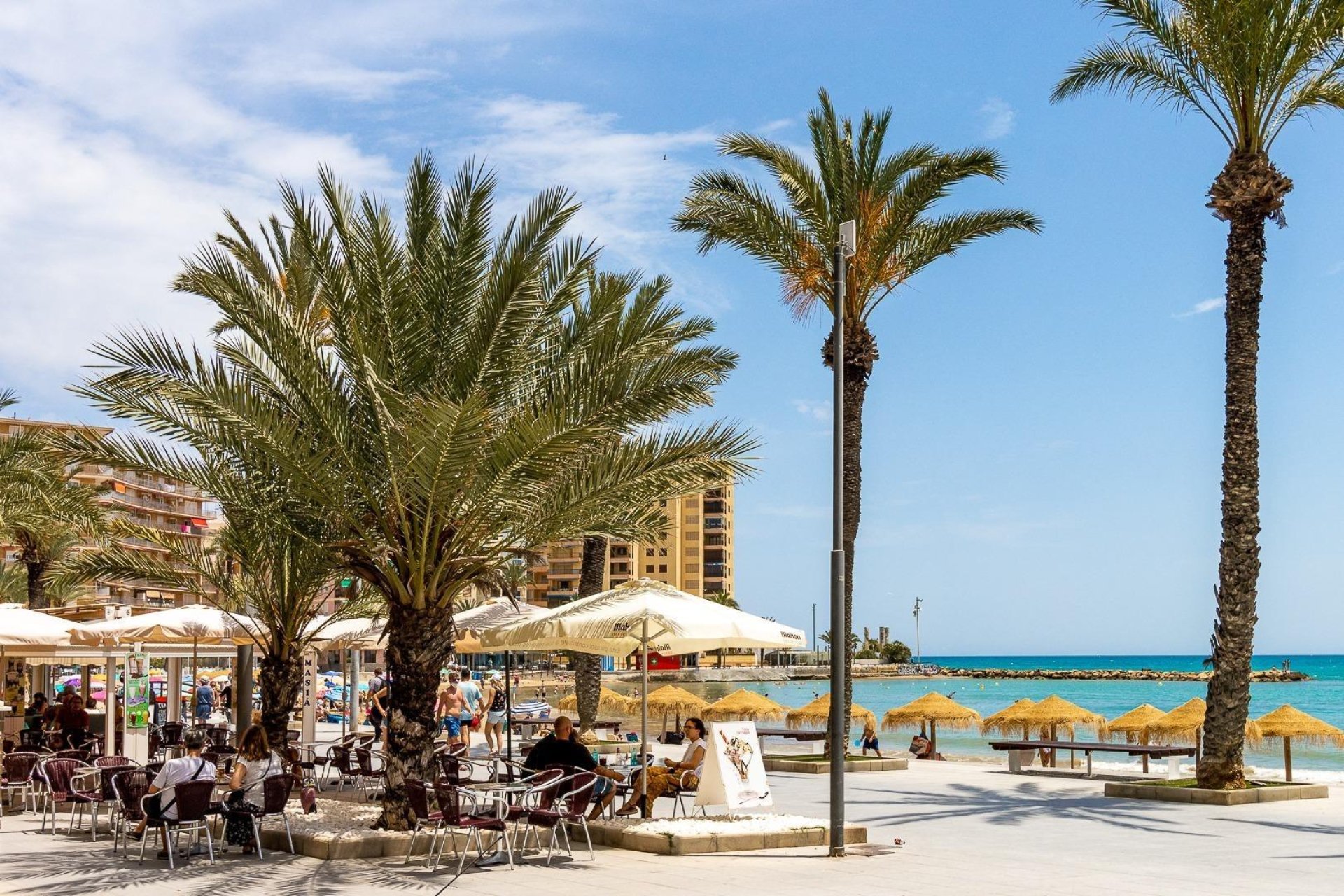 Rynek wtórny - Nauka -
Torrevieja - Centro