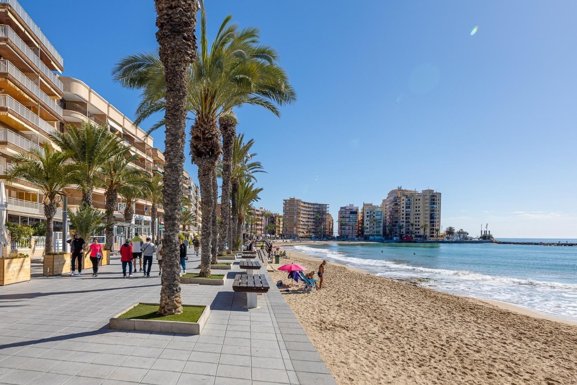 Rynek wtórny - Nauka -
Torrevieja - Centro