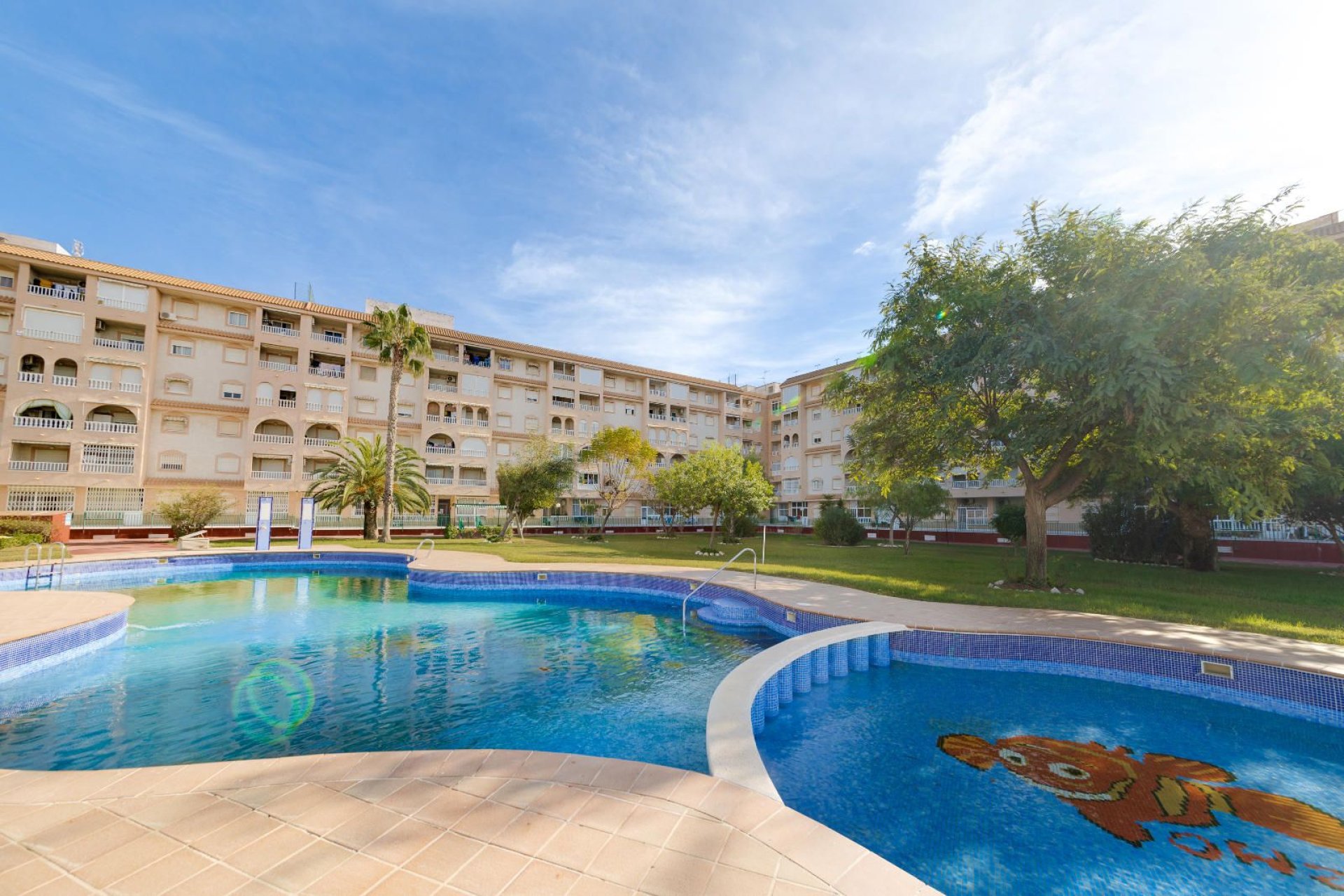 Rynek wtórny - Penthouse -
Torrevieja - Parque las naciones